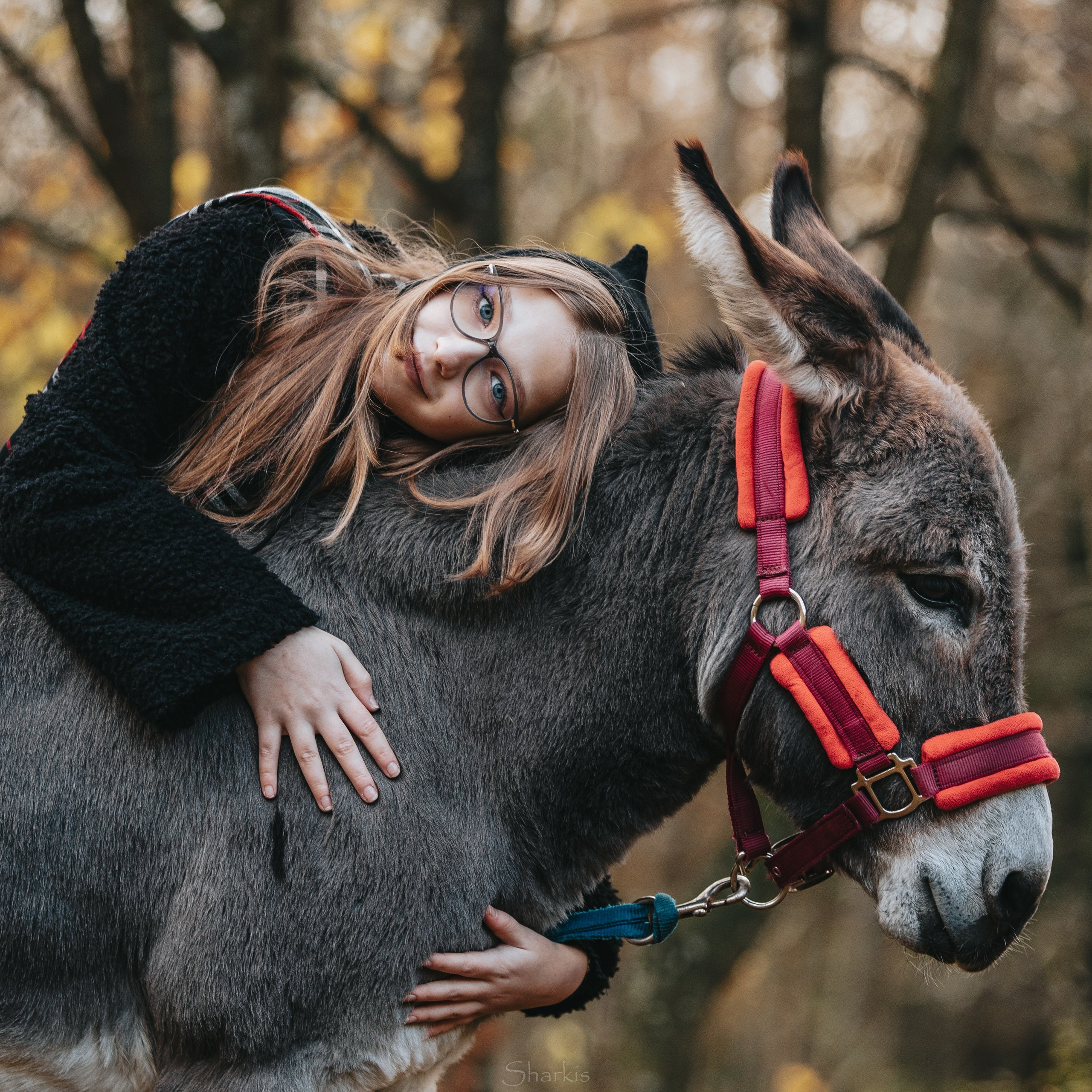 Фотодень в КСК «Радена». Главная