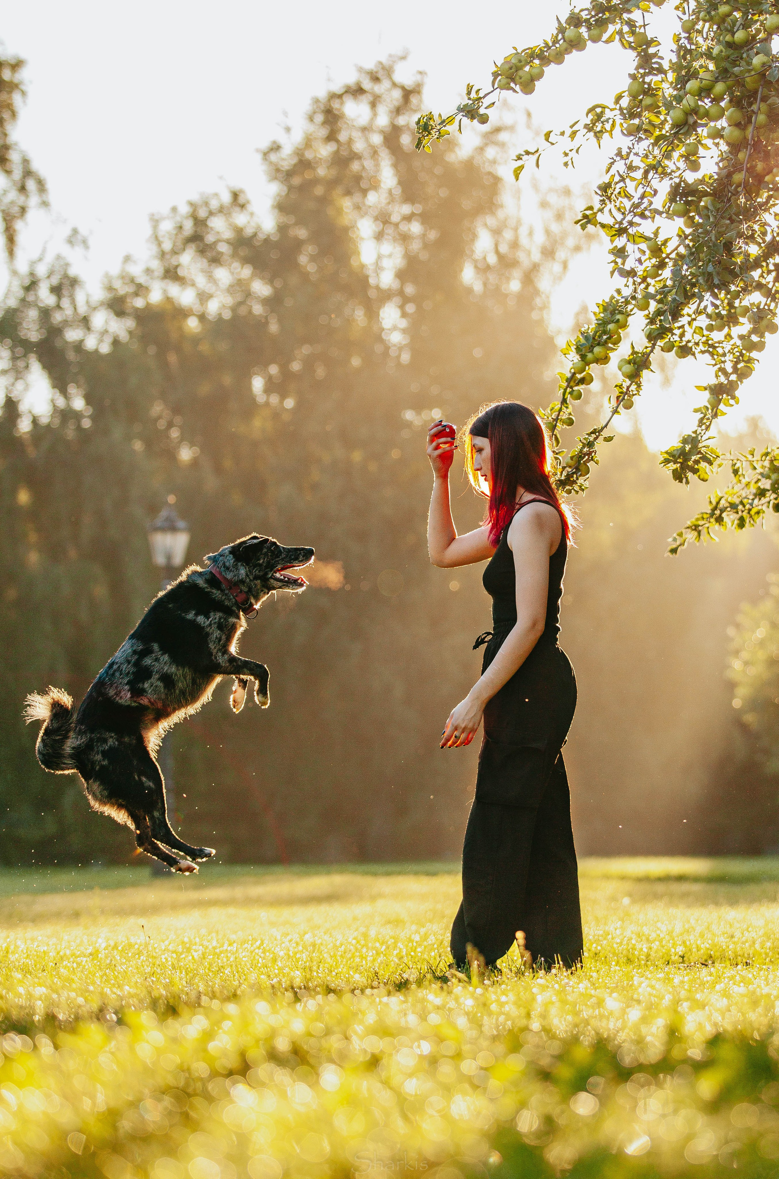 Вега и Гриша. Главная