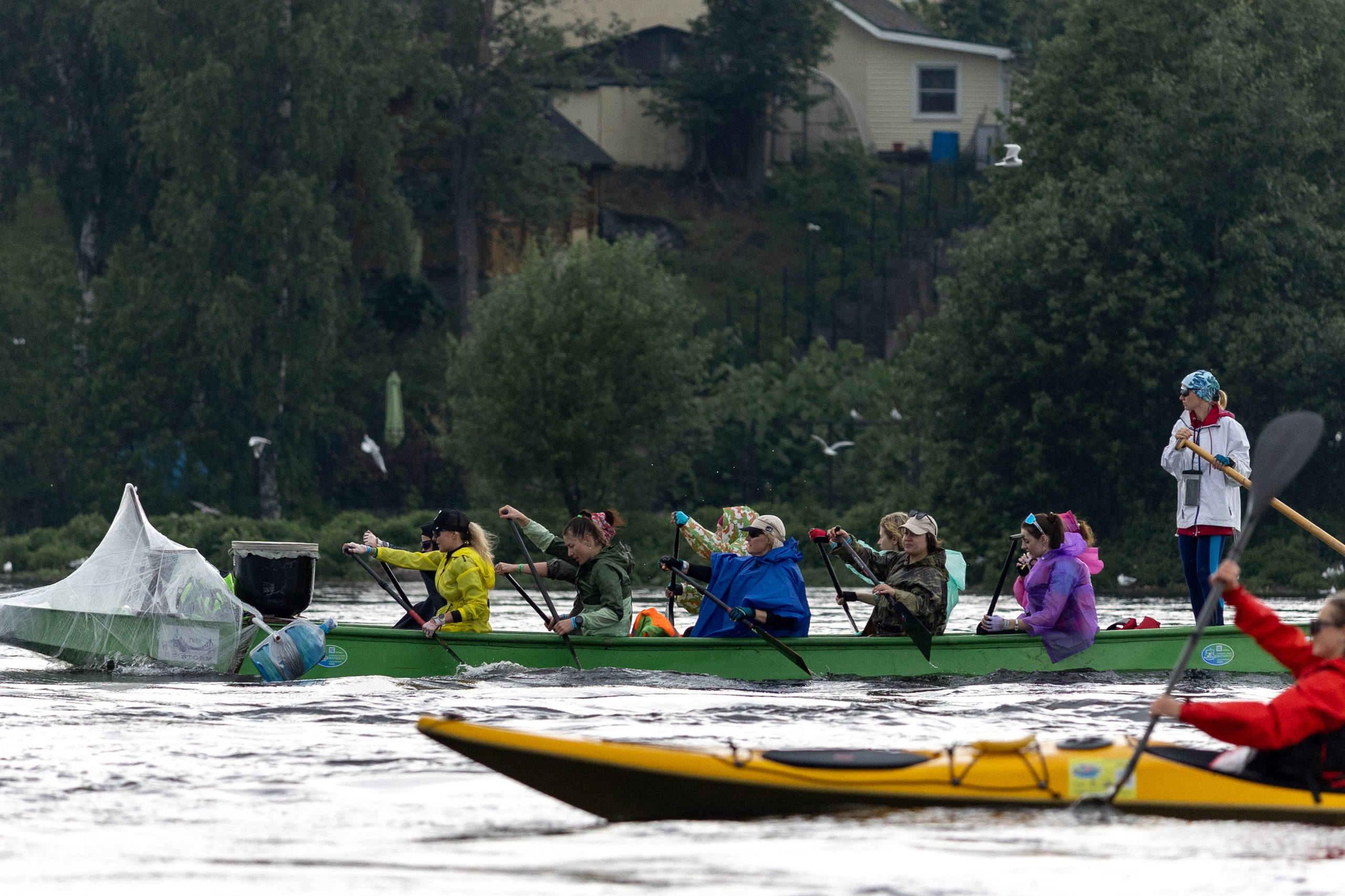 Петровский гребной марафон. Фотограф в Санкт-Петербурге