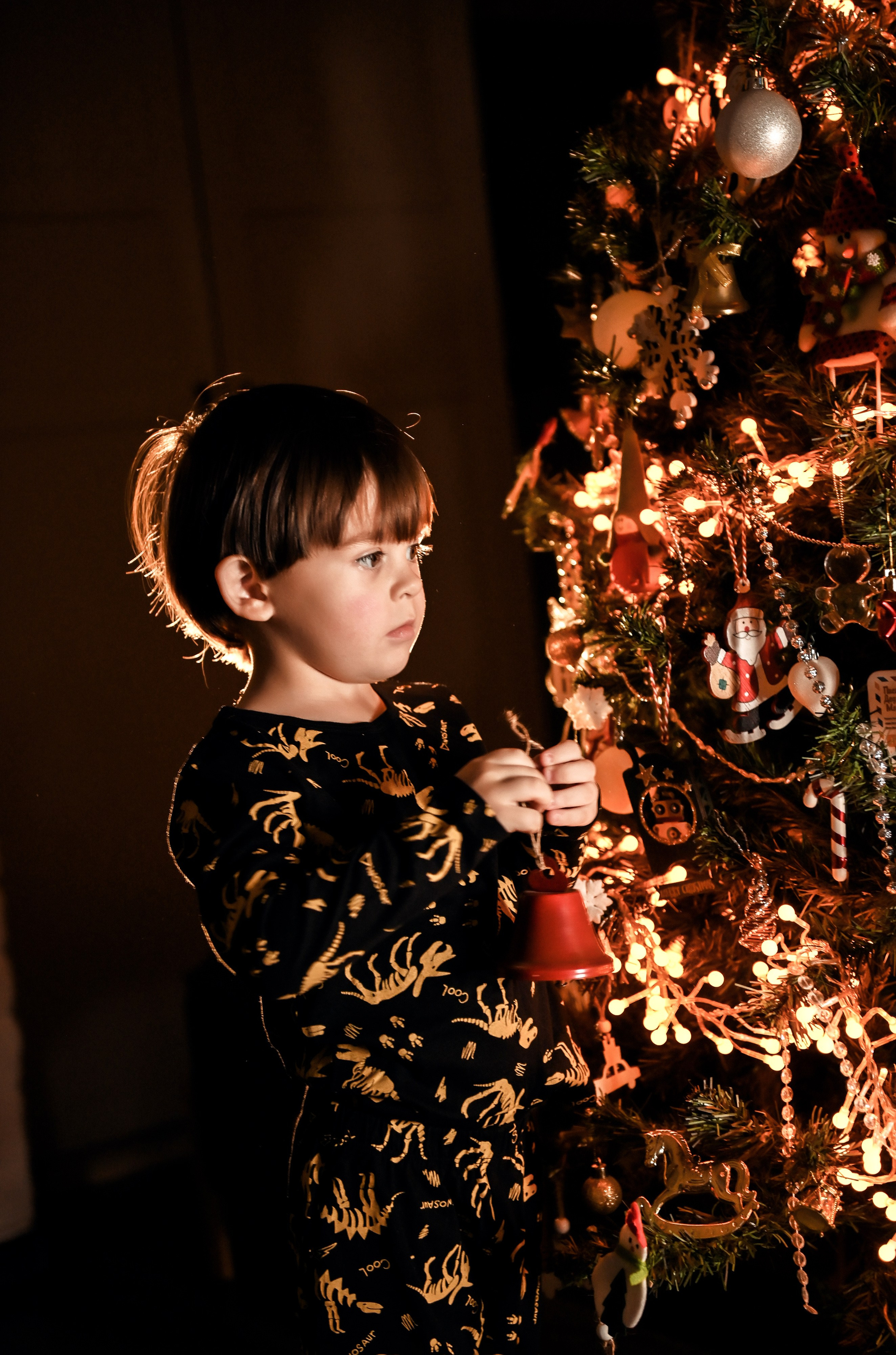 Домашняя новогодняя. Свадебный, семейный, детский, контент фотограф в Омске Максим Ильин