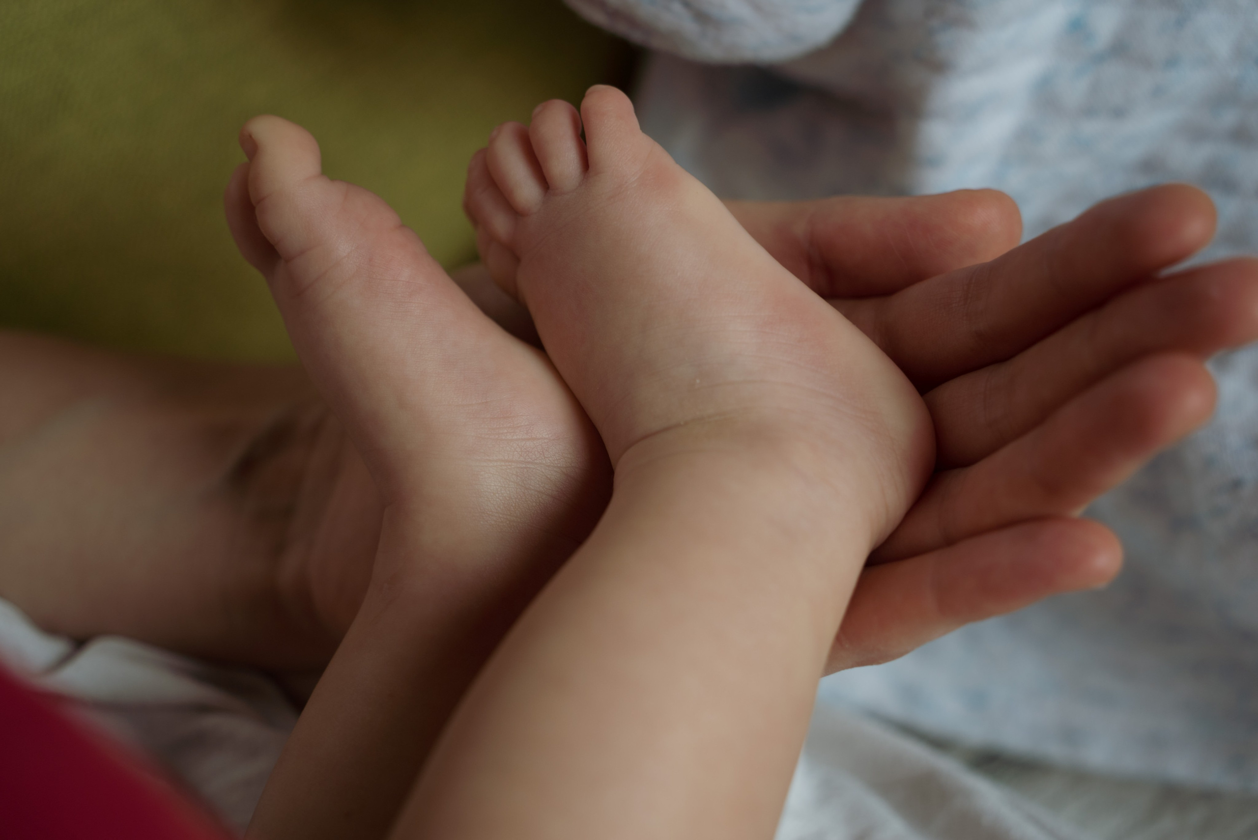 Домашняя фотосессия с двумя детьми. Видеограф Осинина Татьяна — видеосъемка в Москве