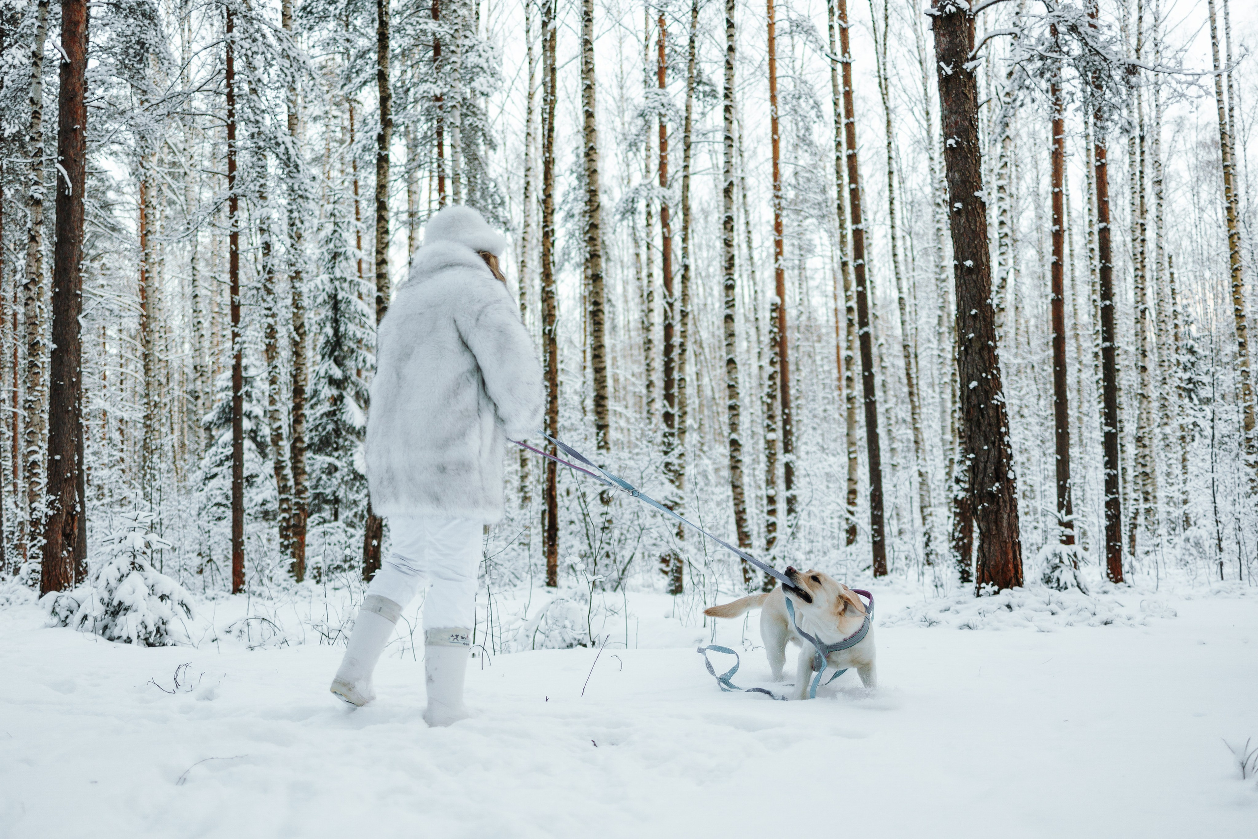 Ребята и их хвостатая семейка. Фотограф — Анималист | Санкт-Петербург