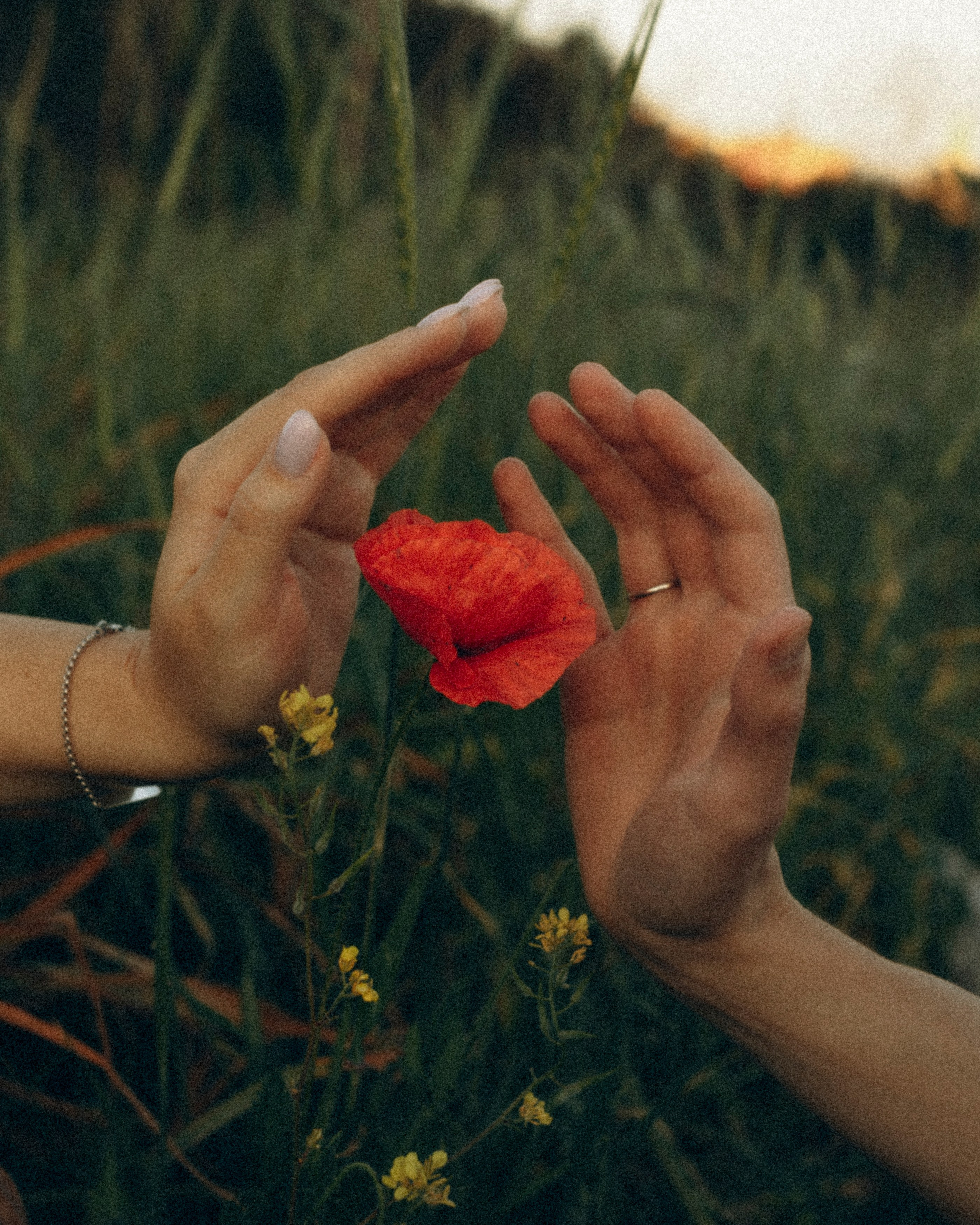 Natasha and Sergey. Katerina Nord | Wedding and Couple Photographer in Germany and Europe