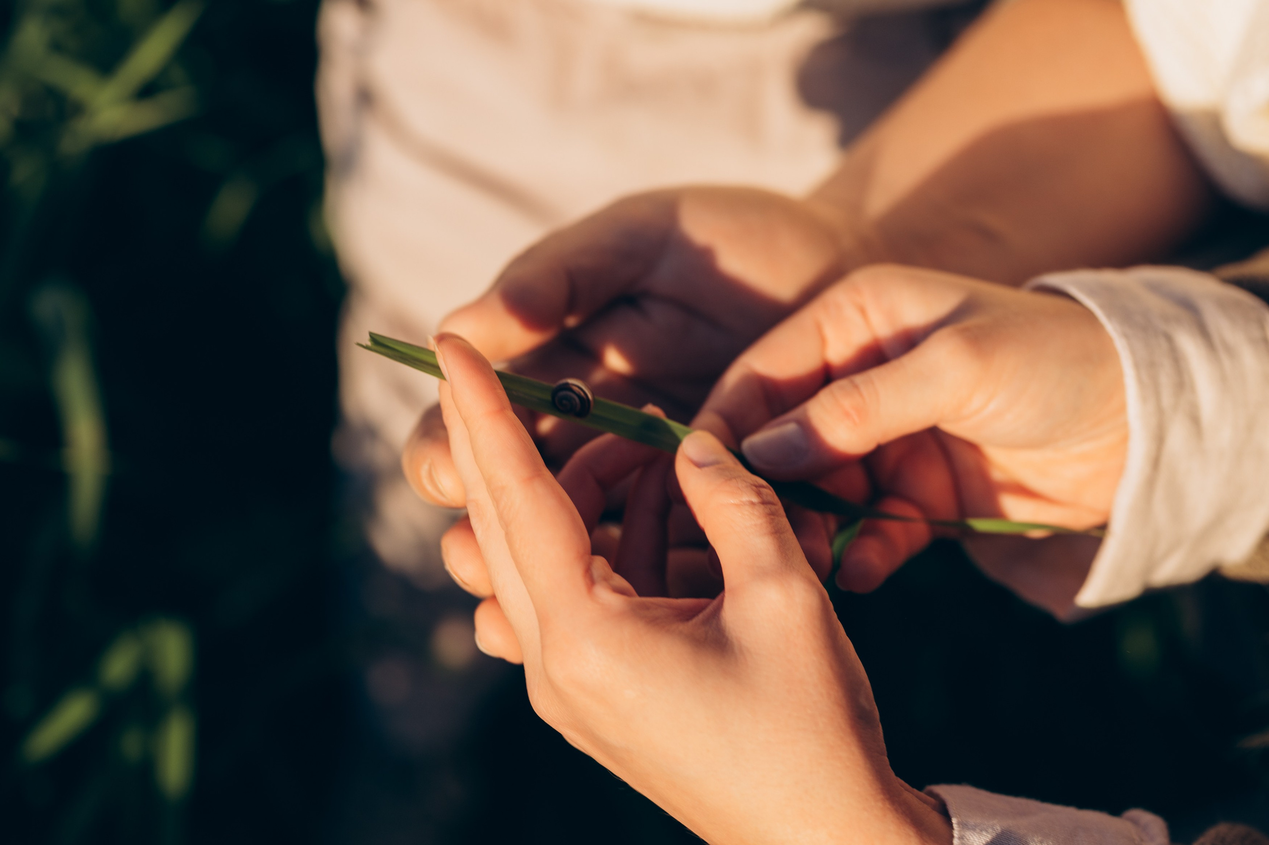 A warm afternoon in the field, just us and the time to be together. Katerina Nord | Wedding and Couple Photographer in Germany and Europe