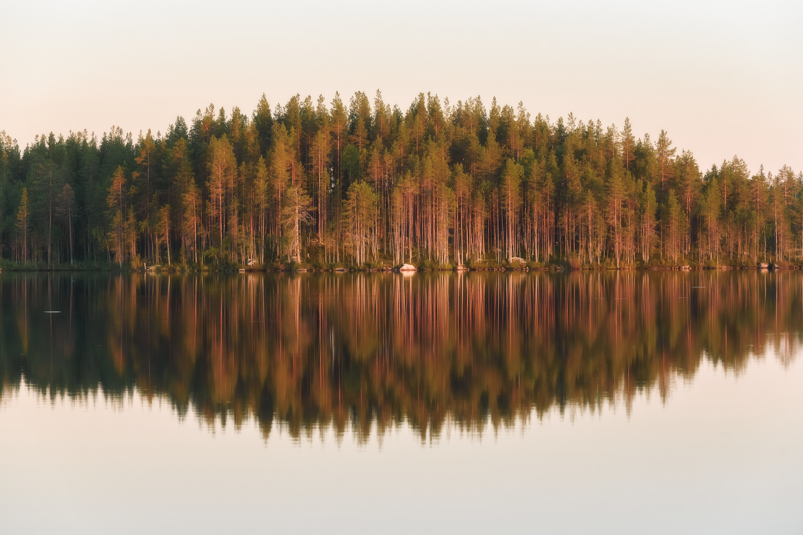Фотографии деревьев в пейзаже. Андрей Баскевич пейзажный и travel-фотограф в Зеленограде