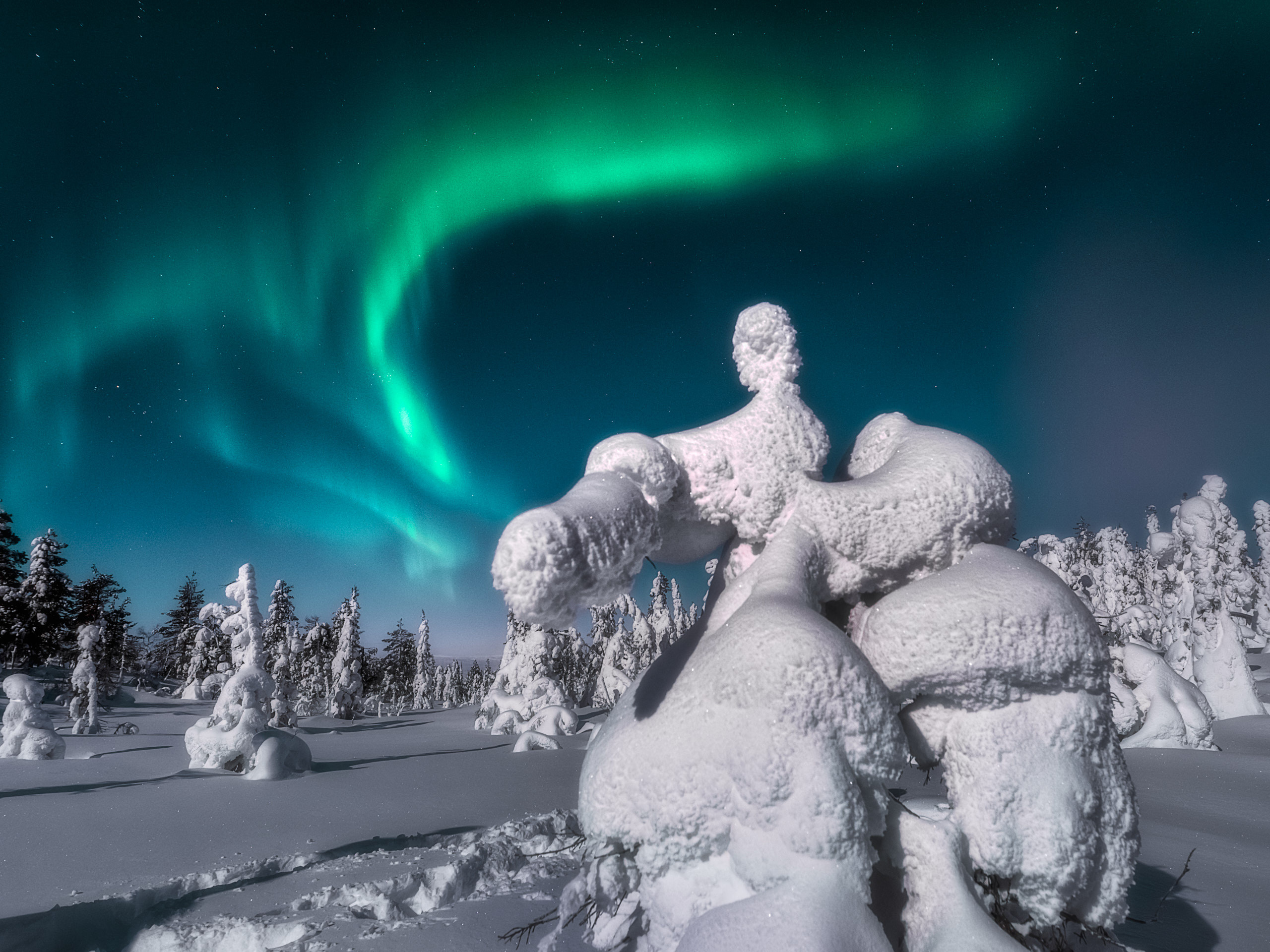 Зимний пейзаж. Андрей Баскевич пейзажный и travel-фотограф в Зеленограде