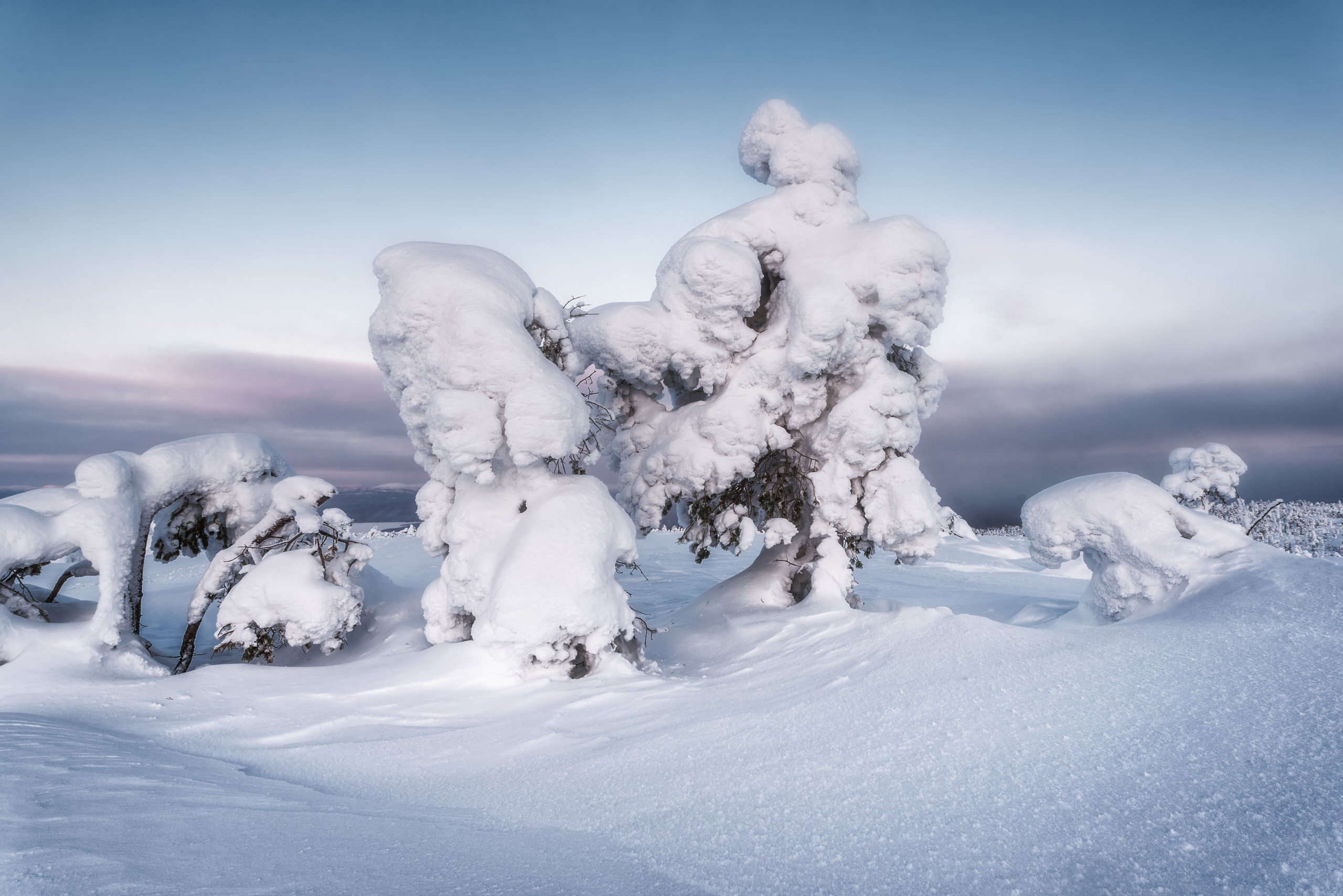 Зимний пейзаж. Андрей Баскевич пейзажный и travel-фотограф в Зеленограде