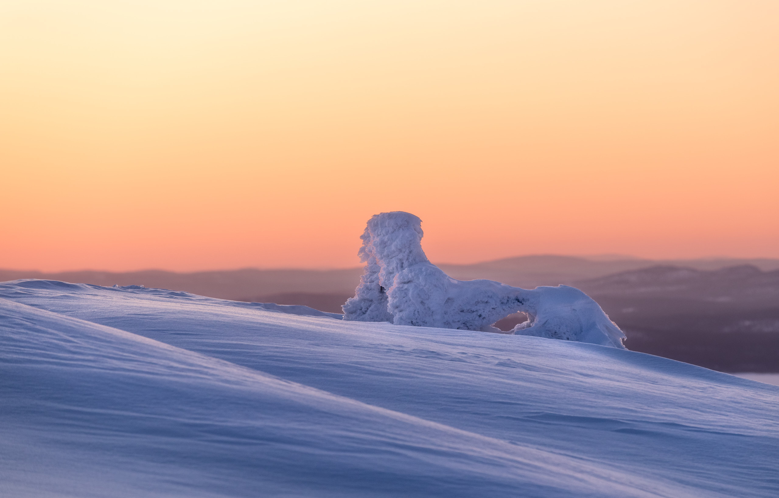 Рассвет на Волосяной сопке. Мурманская область, Кандалакша