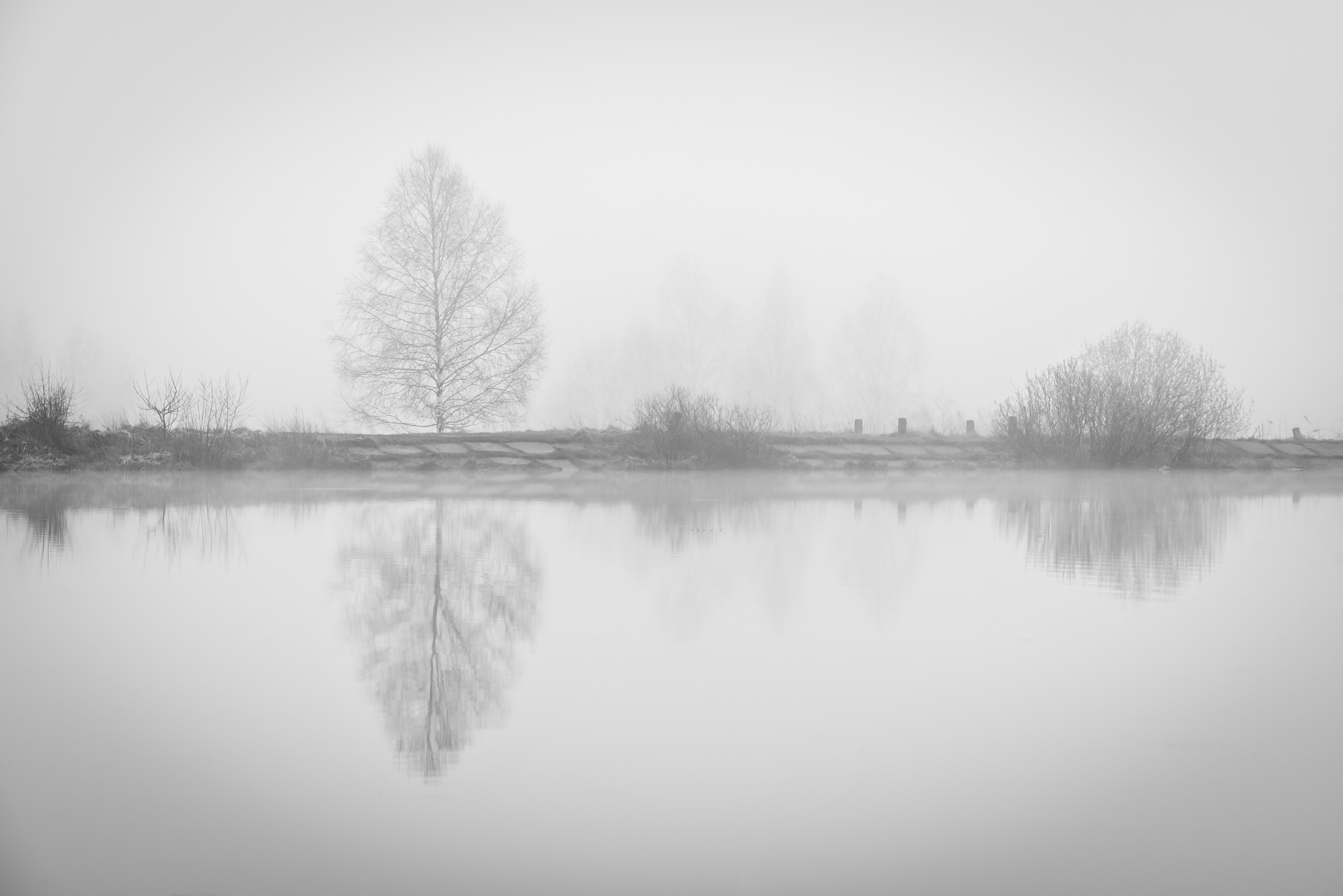 Монохромные фотографии. Андрей Баскевич пейзажный и travel-фотограф в Зеленограде