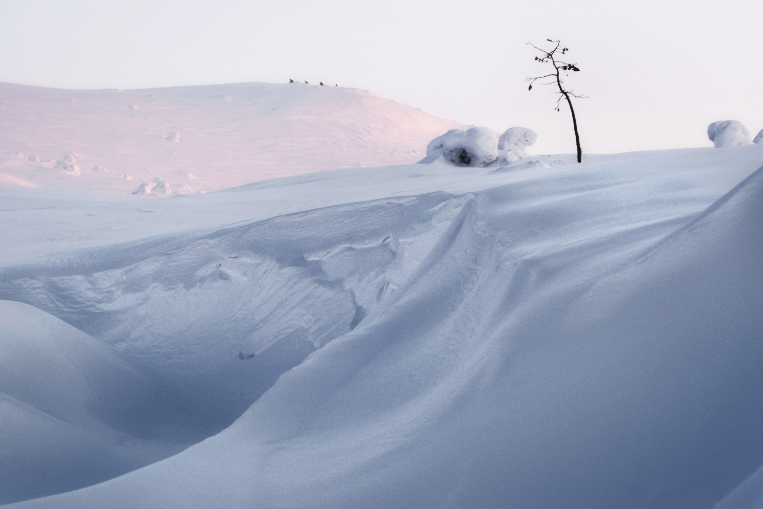 Зимний пейзаж. Андрей Баскевич пейзажный и travel-фотограф в Зеленограде