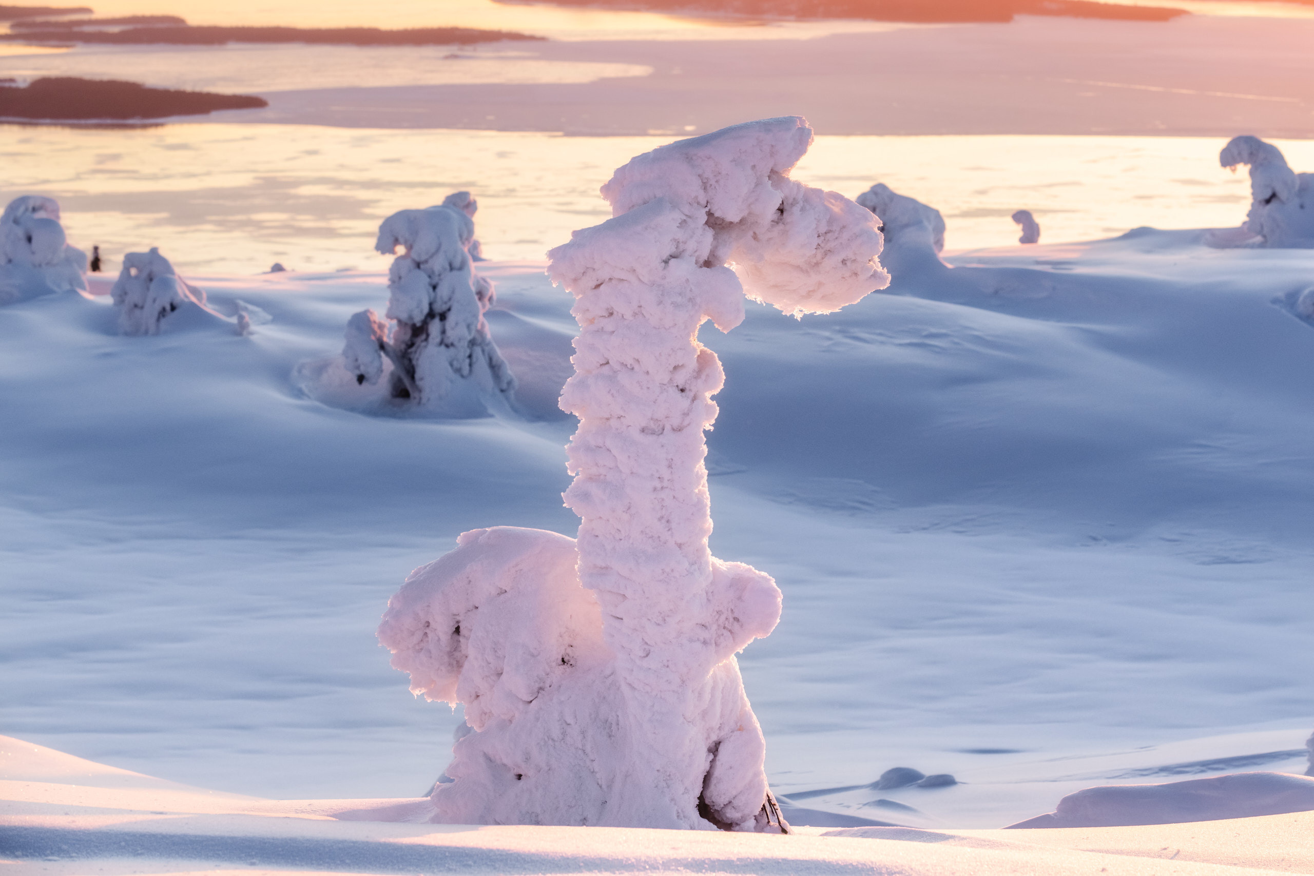 Зимний пейзаж. Андрей Баскевич пейзажный и travel-фотограф в Зеленограде