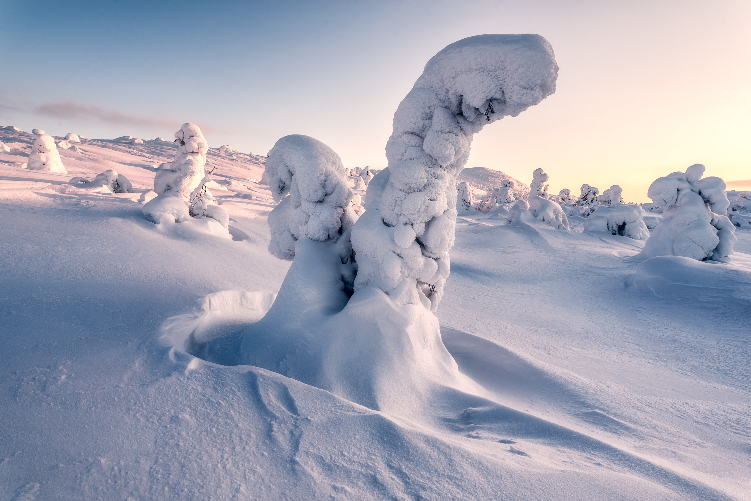 Зимний пейзаж. Андрей Баскевич пейзажный и travel-фотограф в Зеленограде
