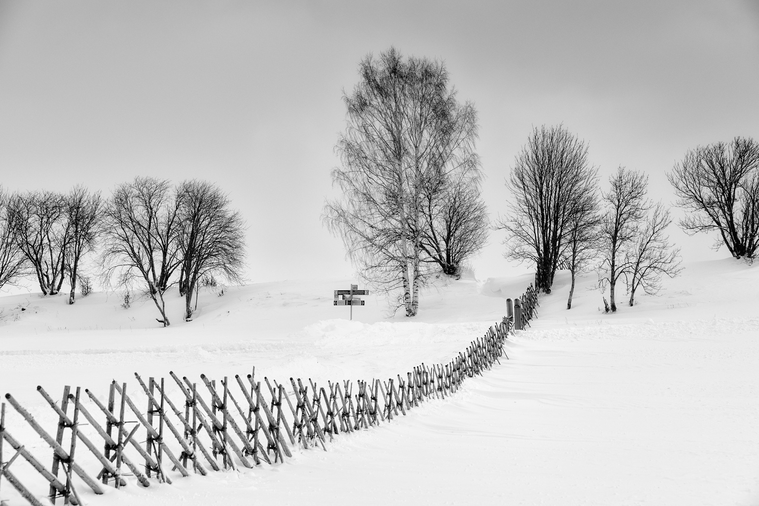 Монохромные фотографии. Андрей Баскевич пейзажный и travel-фотограф в Зеленограде