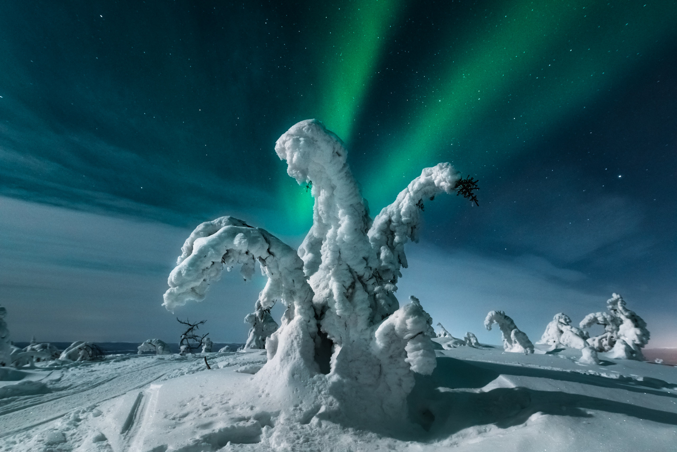 Зимний пейзаж. Андрей Баскевич пейзажный и travel-фотограф в Зеленограде