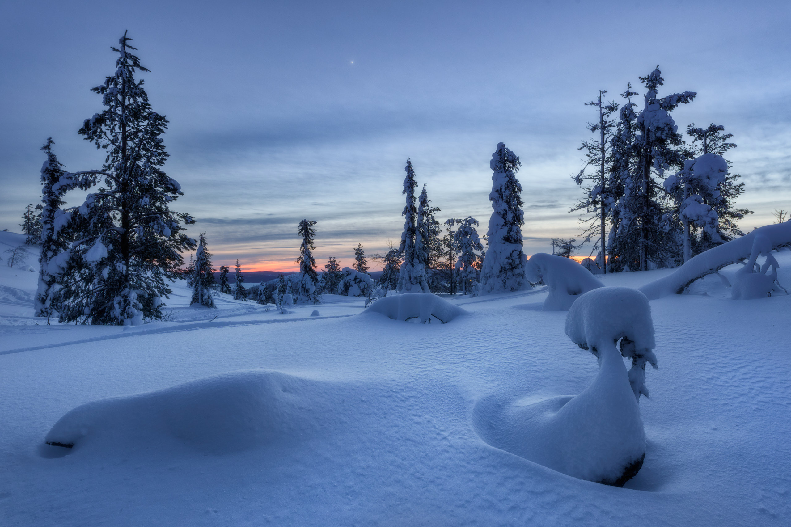 Вечерний зимний пейзаж на склонах сопки Волосяная в окрестностях Кандалакши. Фотограф Андрей Баскевич