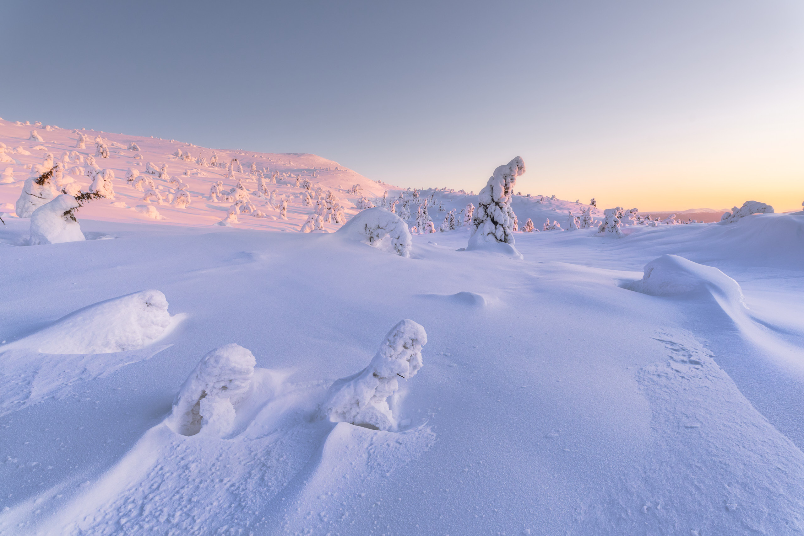 Склоны сопки Волосяная в окрестностях Кандалакши. Фотограф Андрей Баскевич