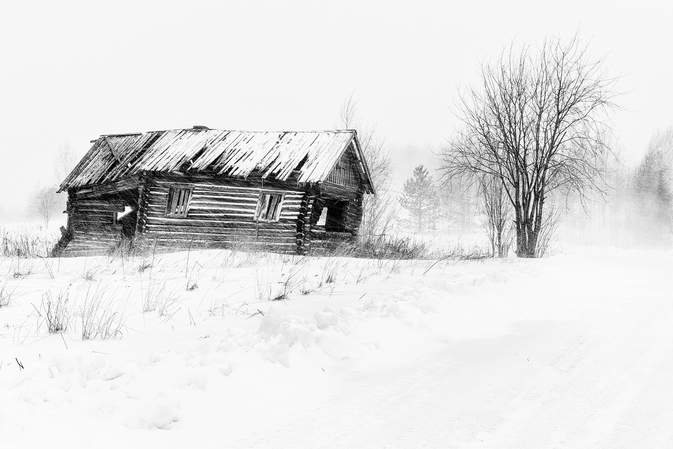 Заброшенный дом на окраине села в Карелии в сильную метель. Пейзажный фотограф Андрей Баскевич