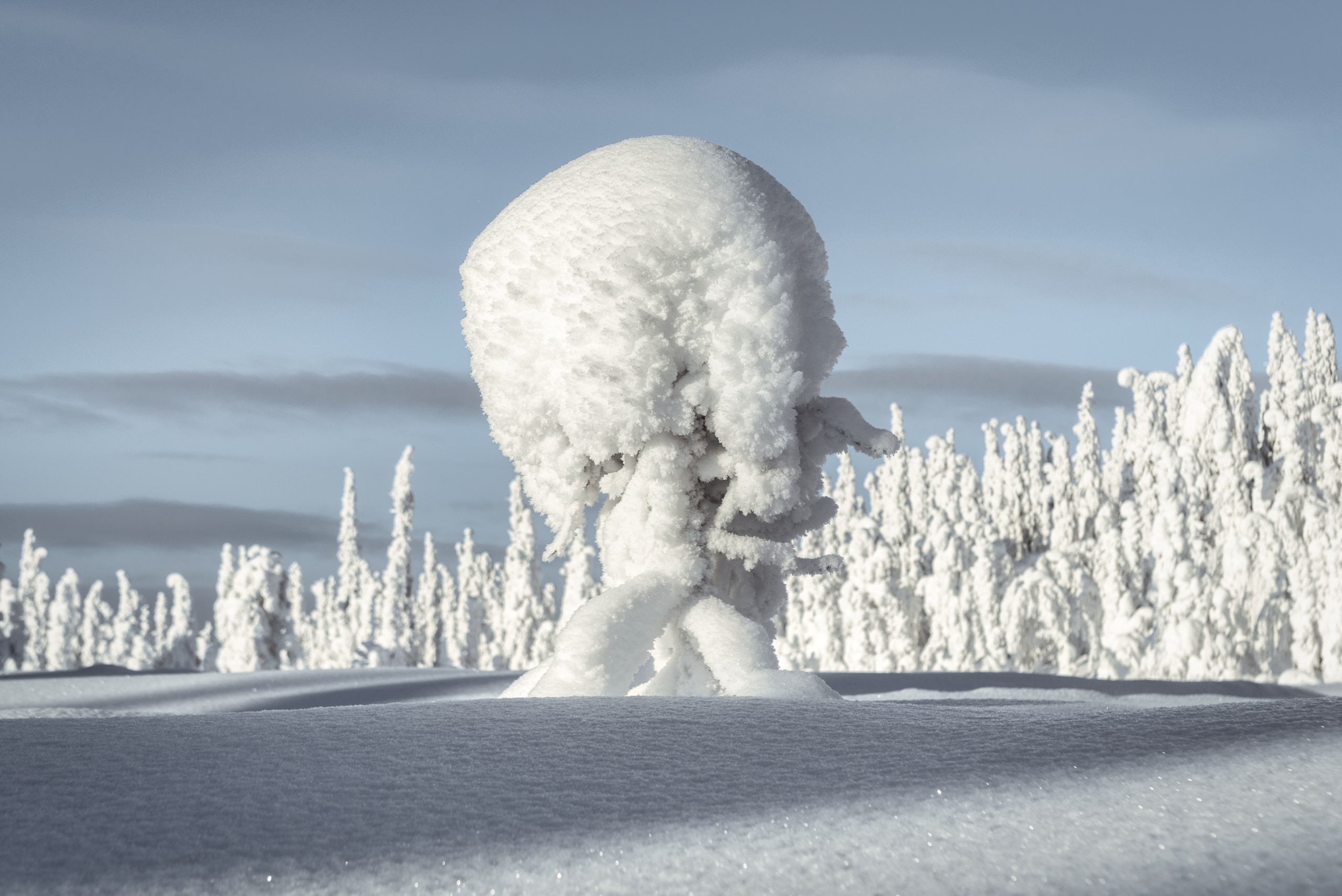 Зимний пейзаж. Андрей Баскевич пейзажный и travel-фотограф в Зеленограде