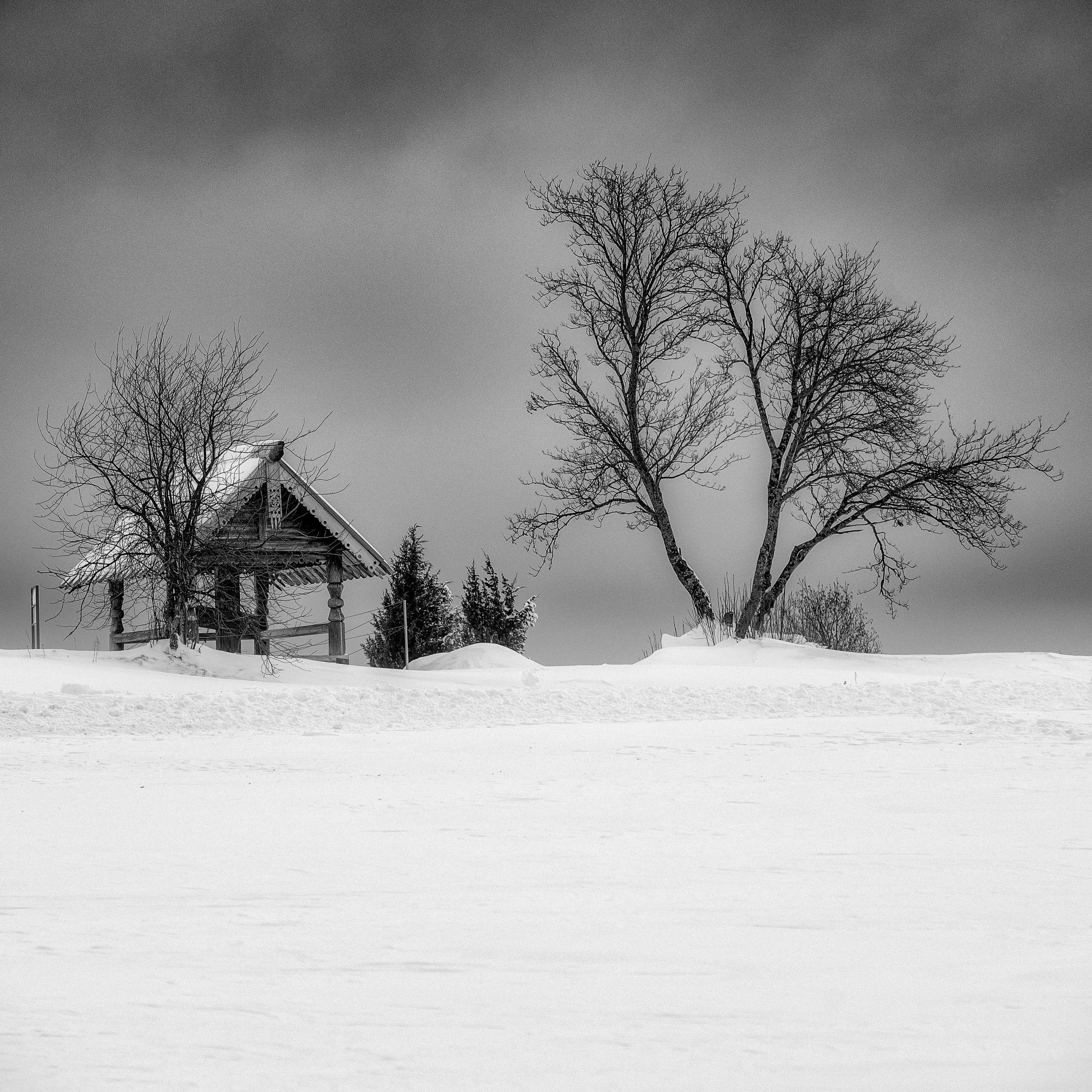 Монохромные фотографии. Андрей Баскевич пейзажный и travel-фотограф в Зеленограде