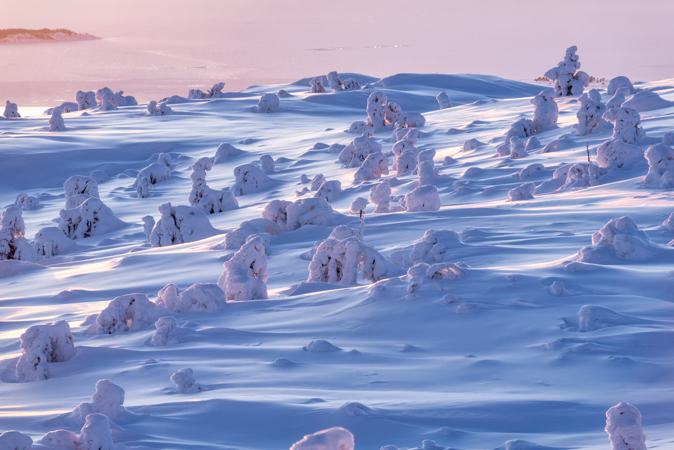 Заполярье. Февраль 2023. Андрей Баскевич пейзажный и travel-фотограф в Зеленограде