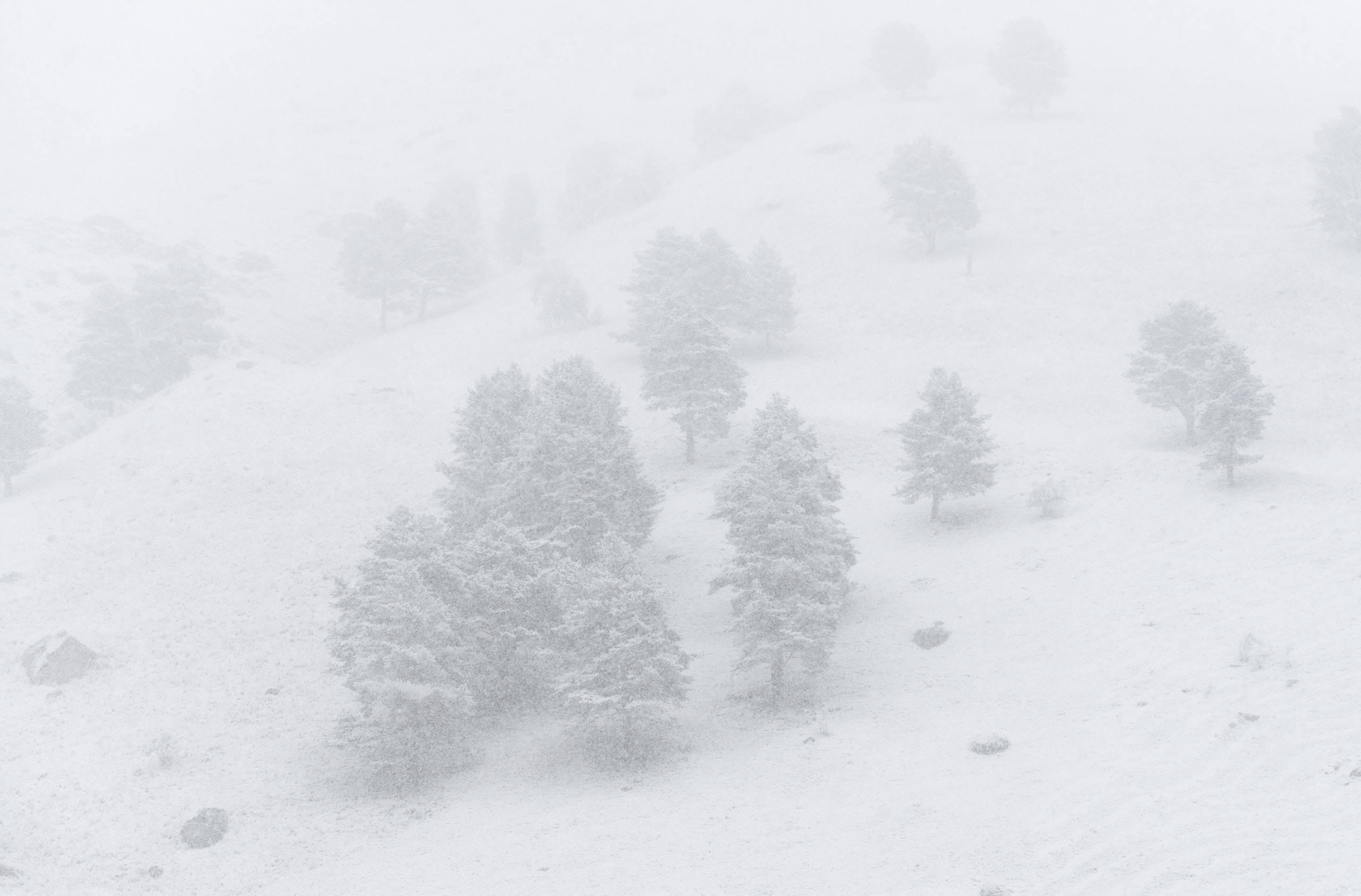Зимний пейзаж. Андрей Баскевич пейзажный и travel-фотограф в Зеленограде