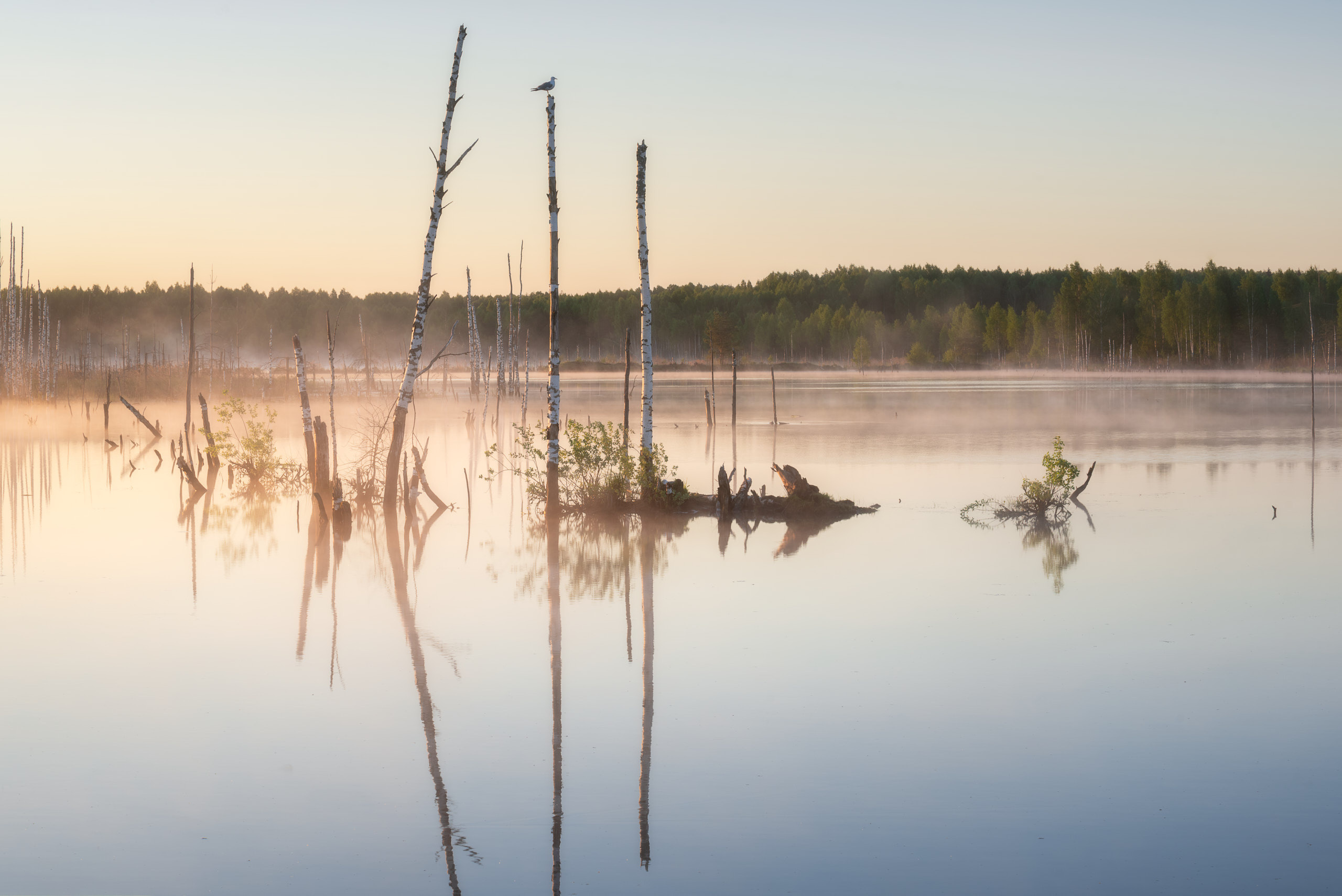 Закаты-рассветы. Андрей Баскевич пейзажный и travel-фотограф в Зеленограде