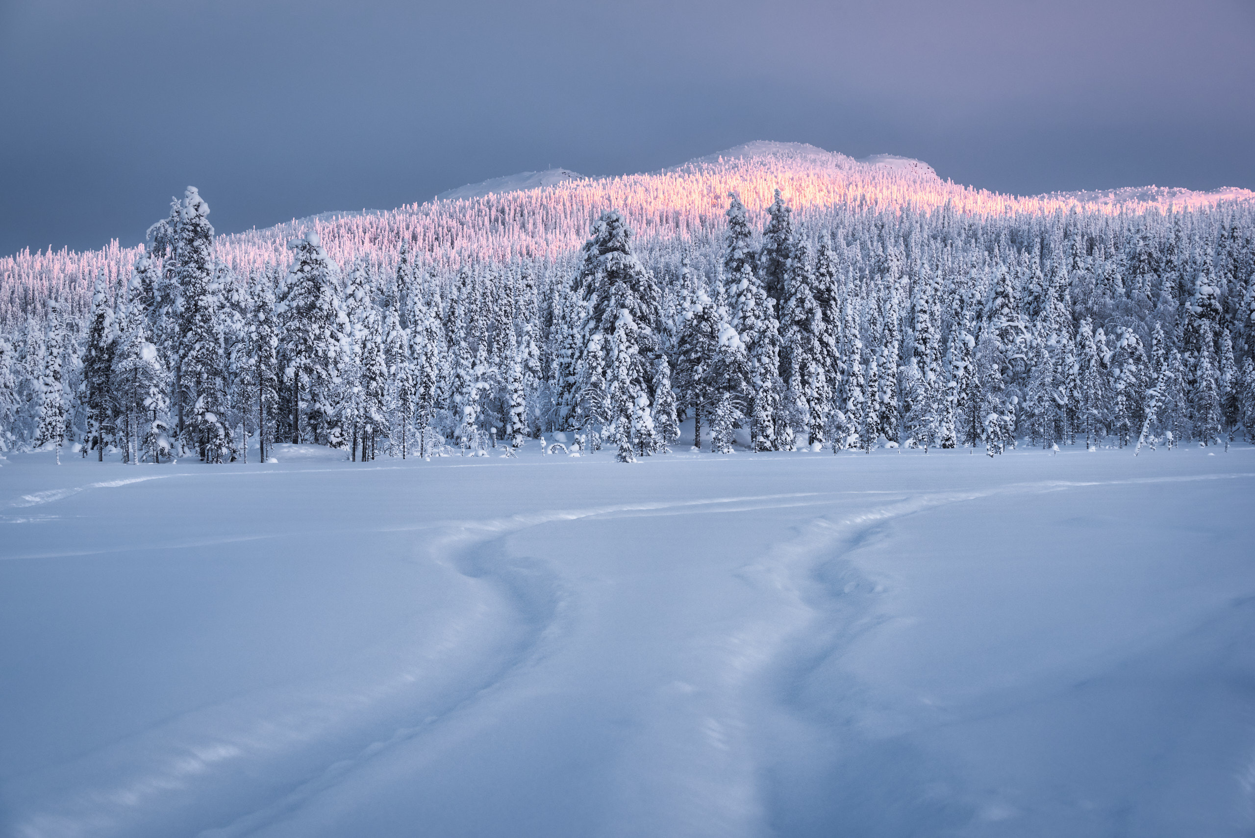 Зимний пейзаж в национальном парке Паанаярви. Гора Кивакка в закатном свете. Фотограф Андрей Баскевич