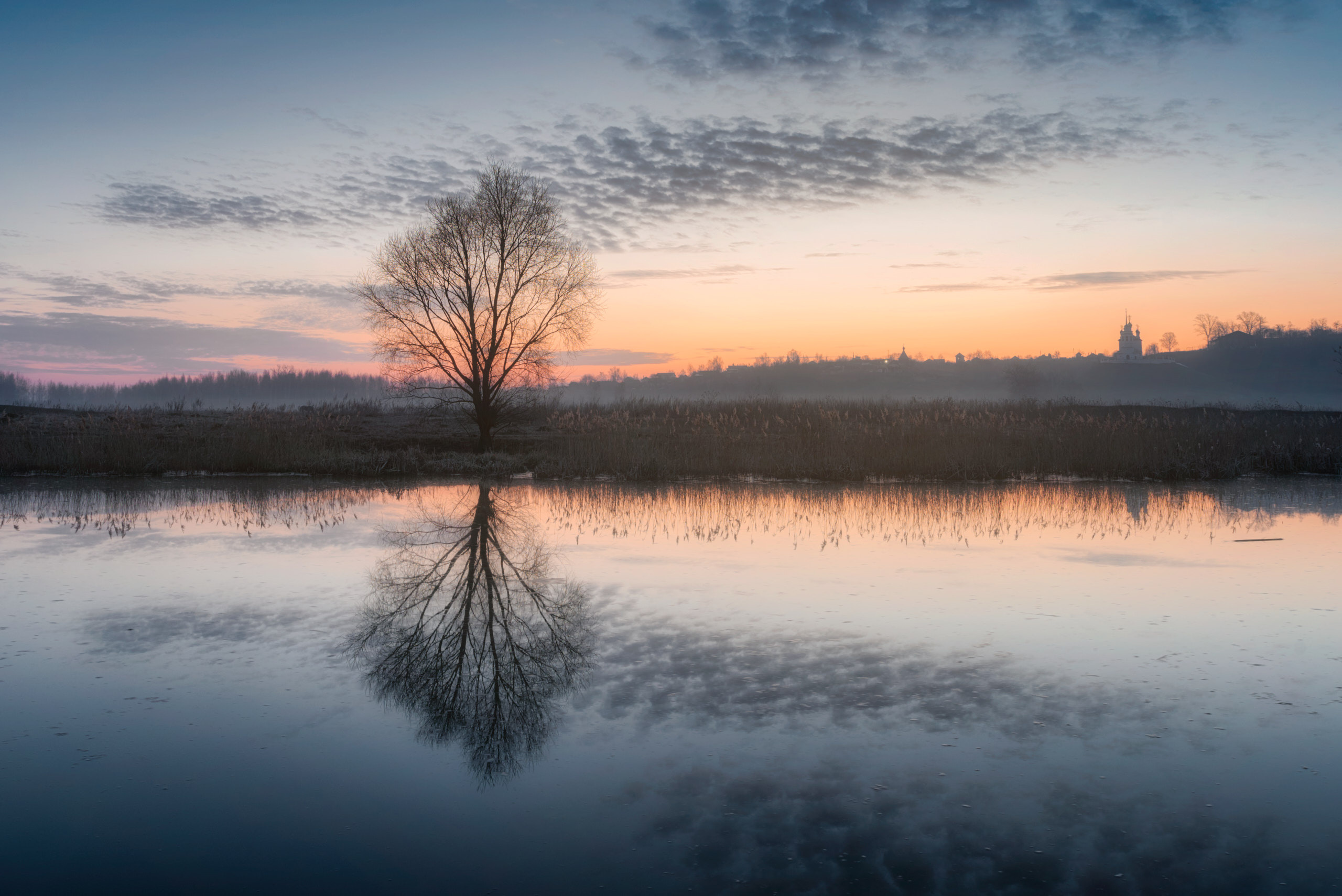Фотографии деревьев в пейзаже. Андрей Баскевич пейзажный и travel-фотограф в Зеленограде