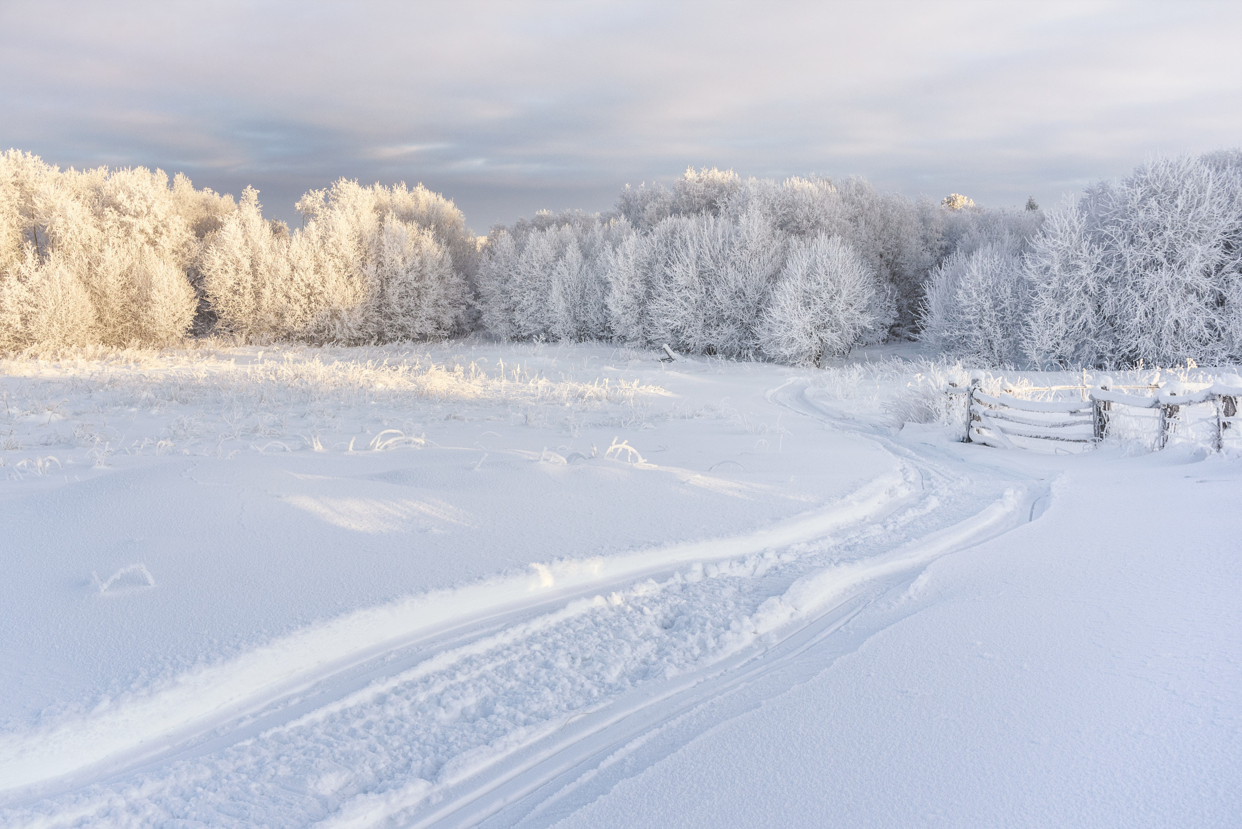 Зимний пейзаж. Андрей Баскевич пейзажный и travel-фотограф в Зеленограде