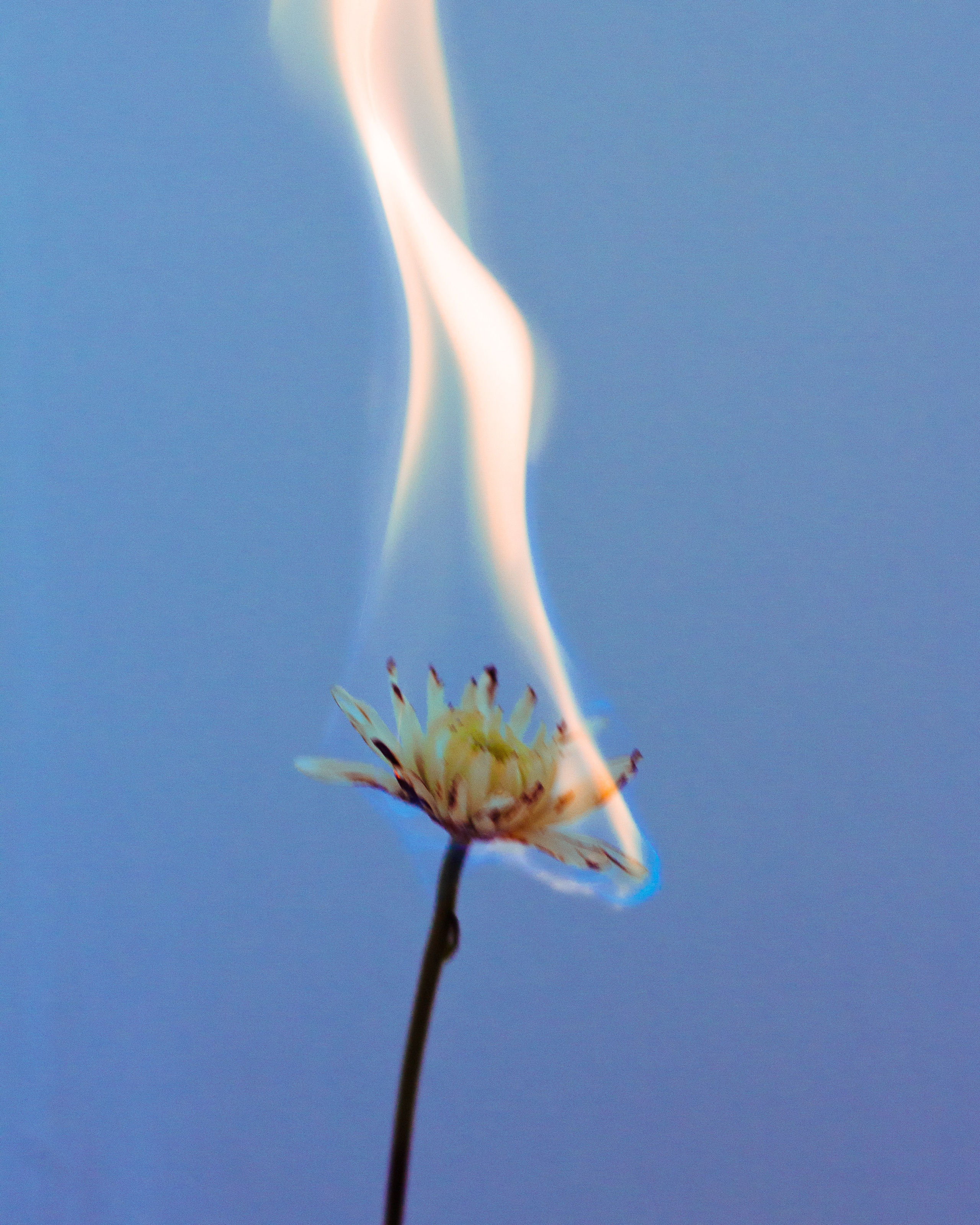 ART. Фотограф Анна Апрельская Москва| Moscow Anna Aprelskaya Photographer