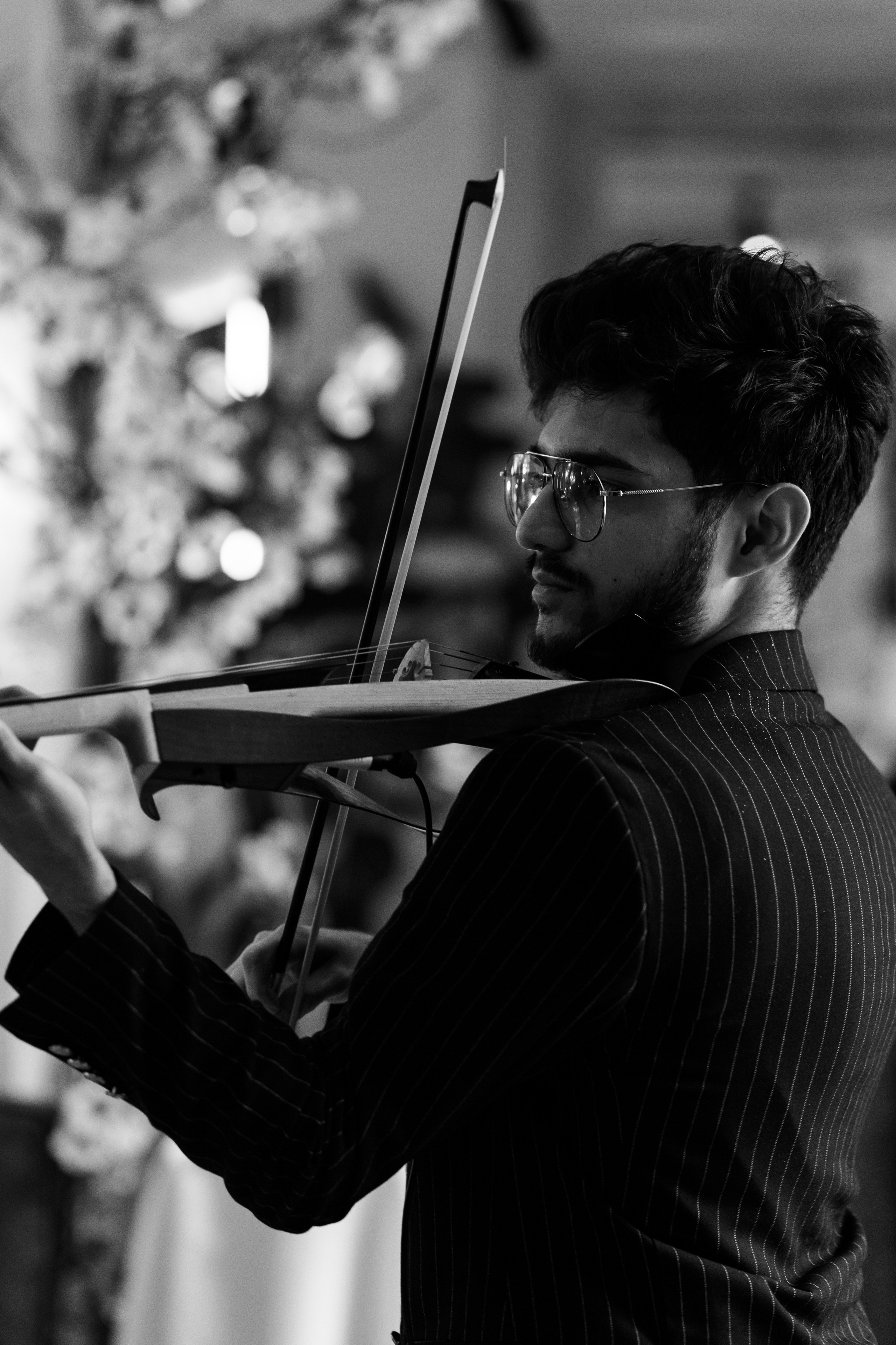 Бархат Винный вечер. Https://andreysolodov.ru