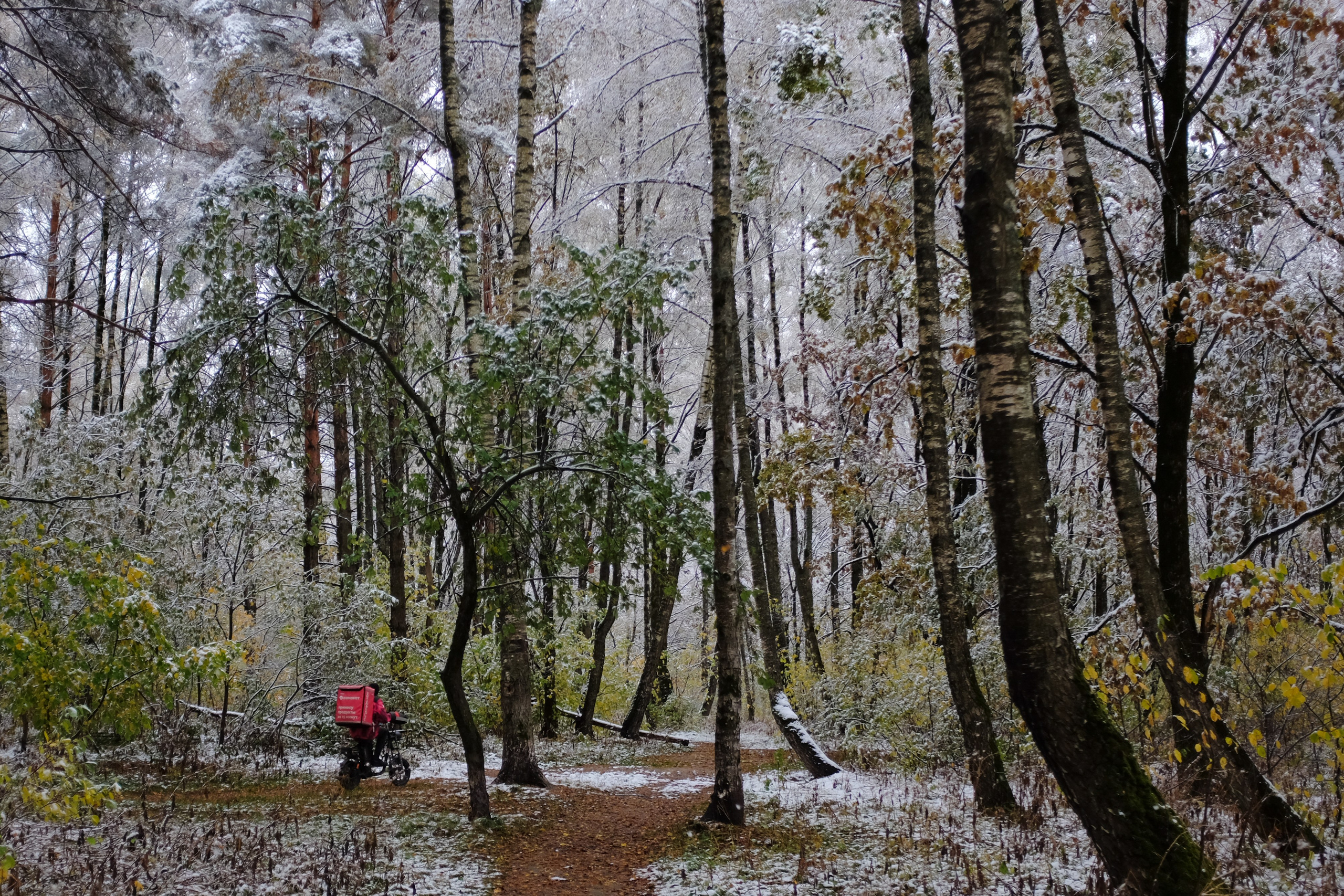 Singles 2. Alyona Kochetkova | Photographer and photography educator