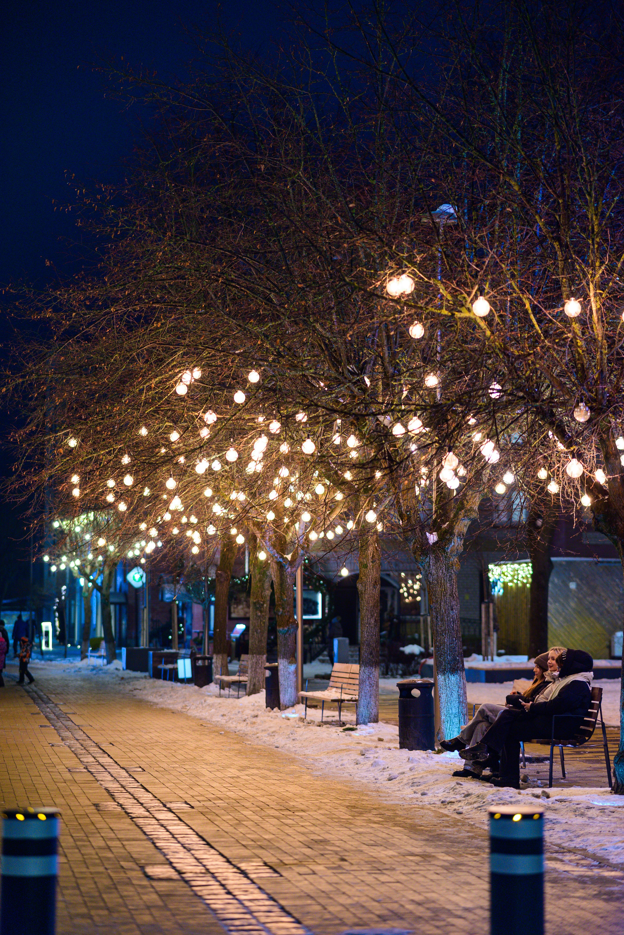 Зимняя Калининградская область. Фотосъемка и видеосъемка в Калининграде Liveemotion.pro