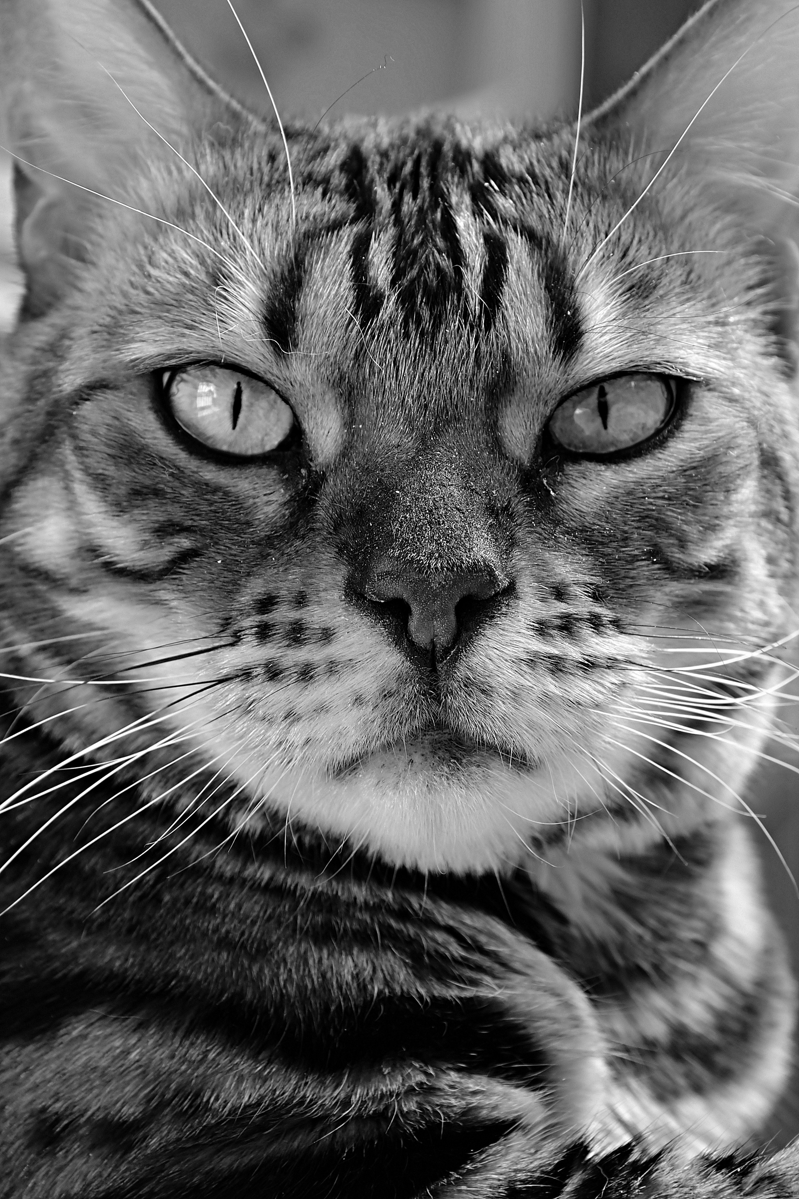 Фотосъемка мероприятий в Москве. Предметная съемка в Москве. Фотограф — Вячеслав Иванов