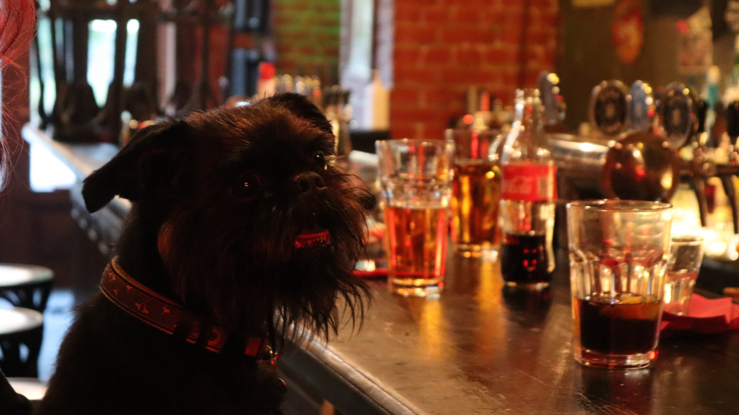 Портфолио. Тур по барам в Петербурге