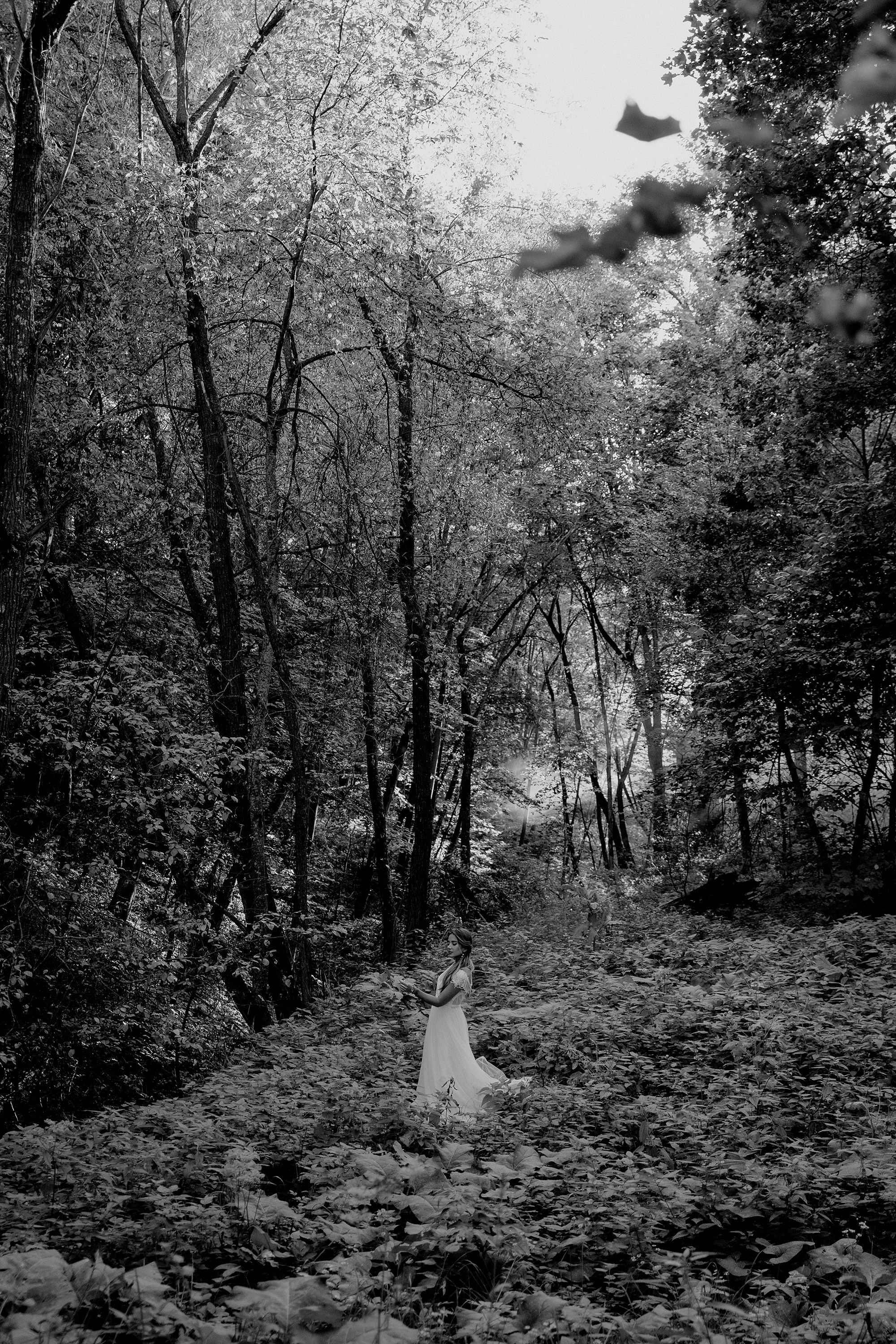 Чинтамани. Фотограф на мероприятие