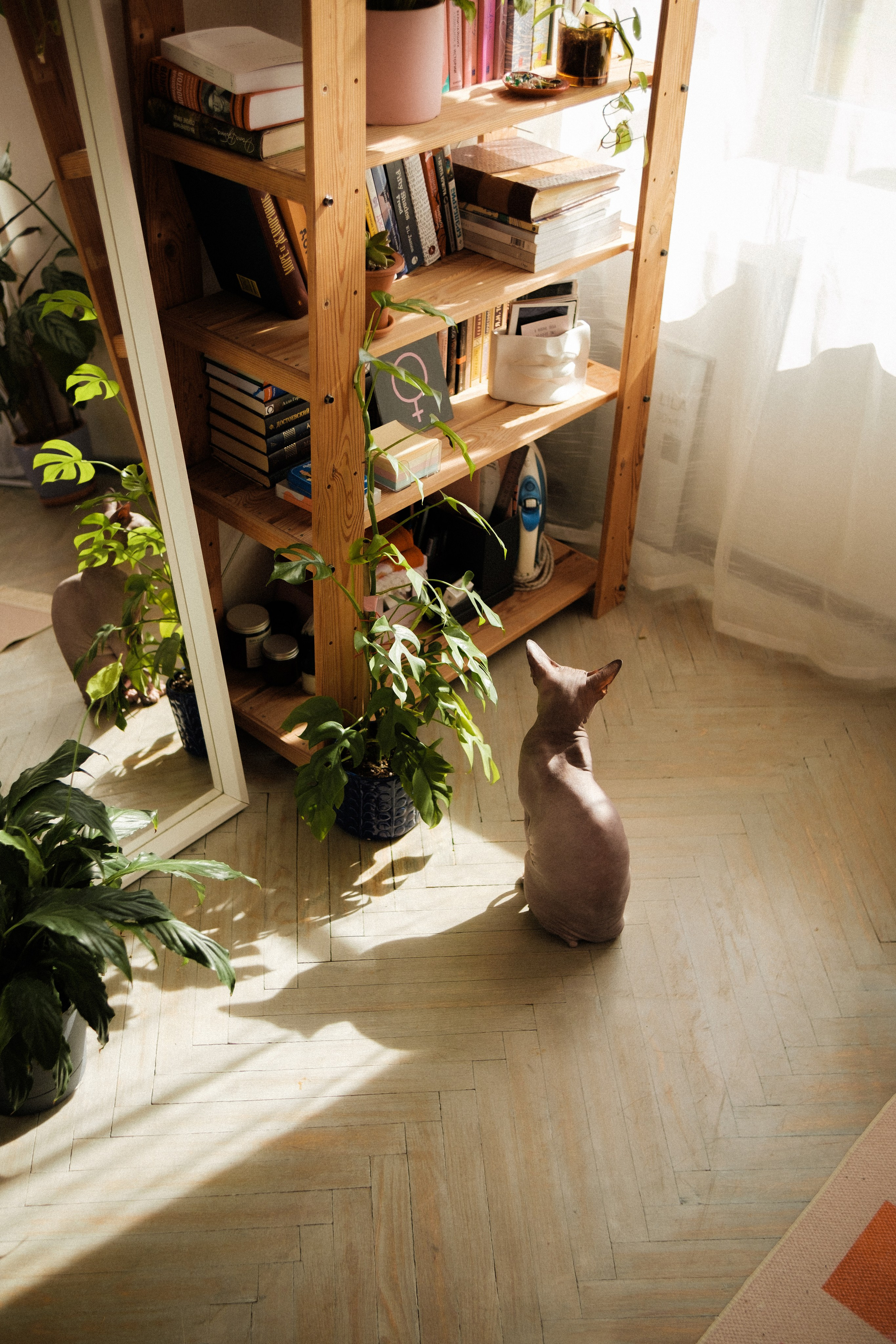 Под плёнку. Михаил Долганов