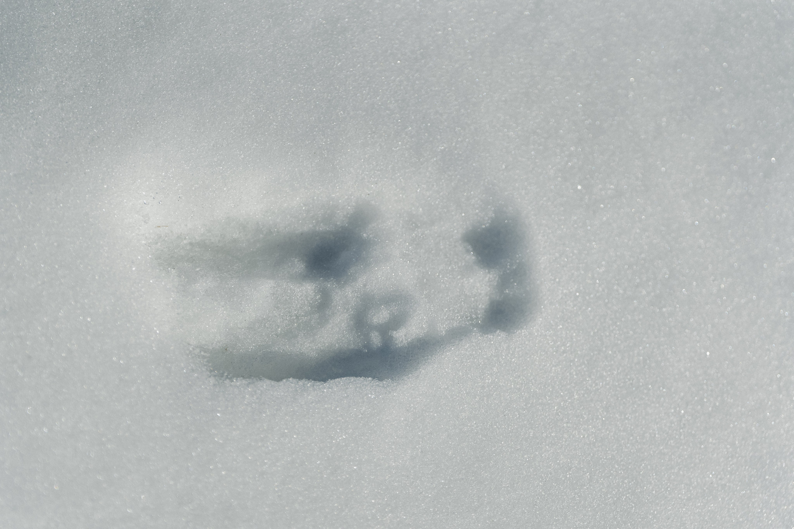 Роза Хутор ✽ Ноябрь. Репортажный фотограф | Роза Хутор Красная Поляна Сочи Сириус