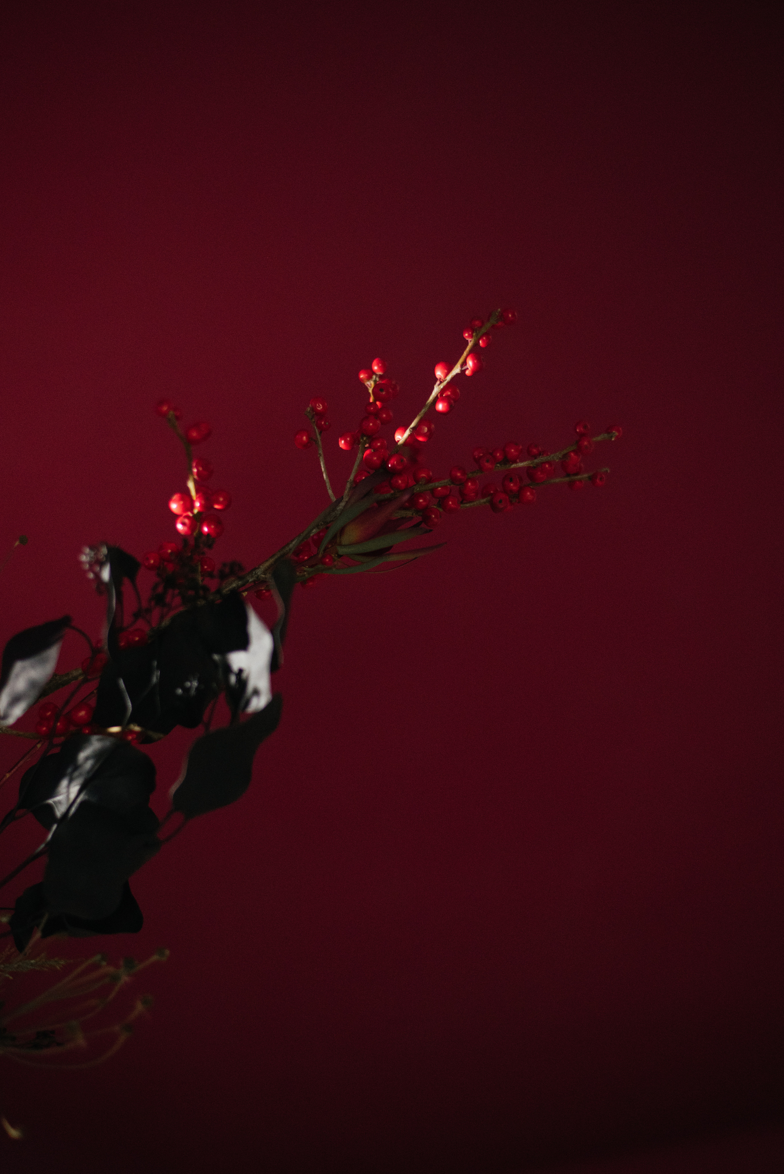 Диана ч2. Свадебный фотограф Белгород