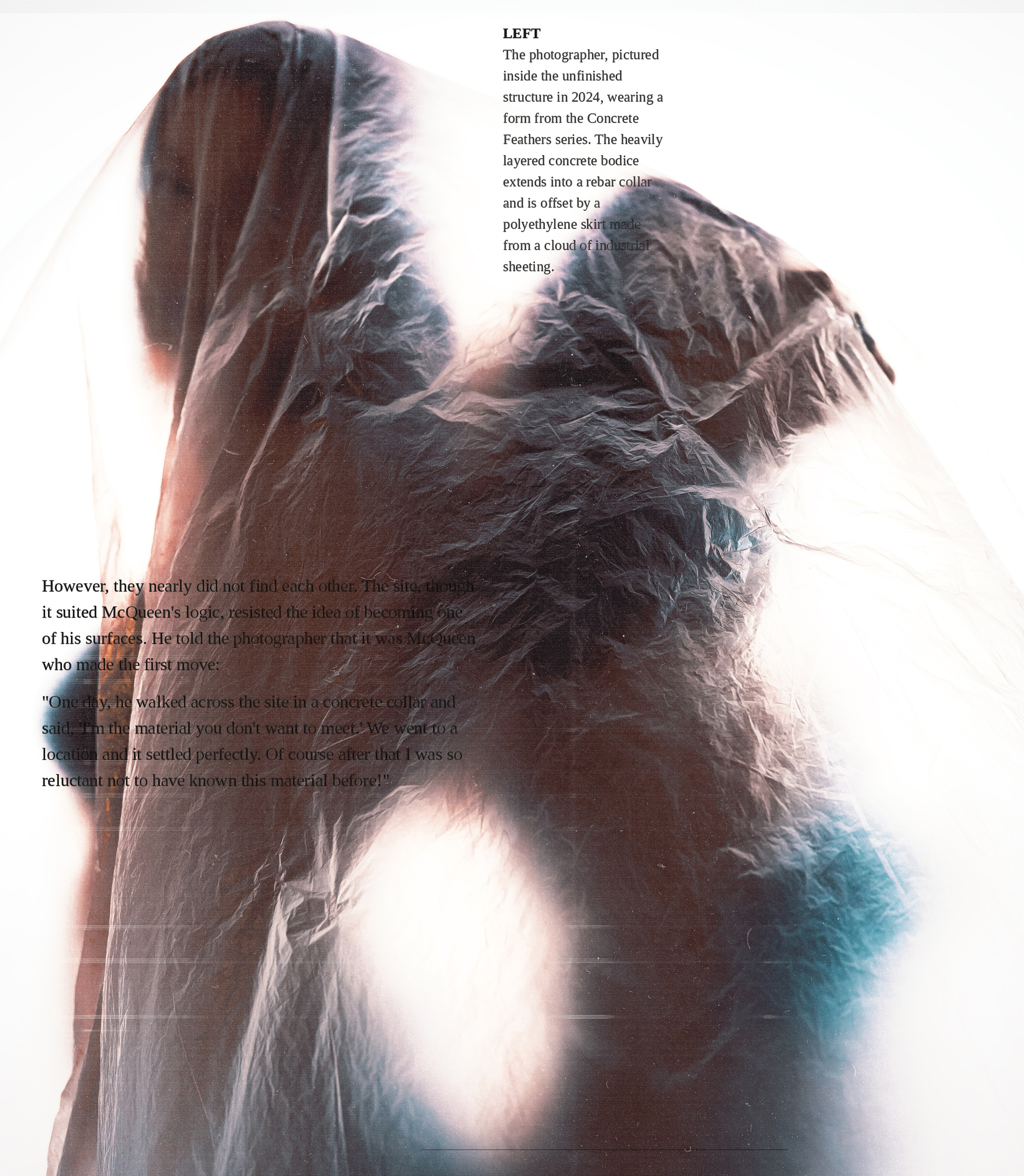 The birds inspiration. Фотограф Тимур Хайруллин