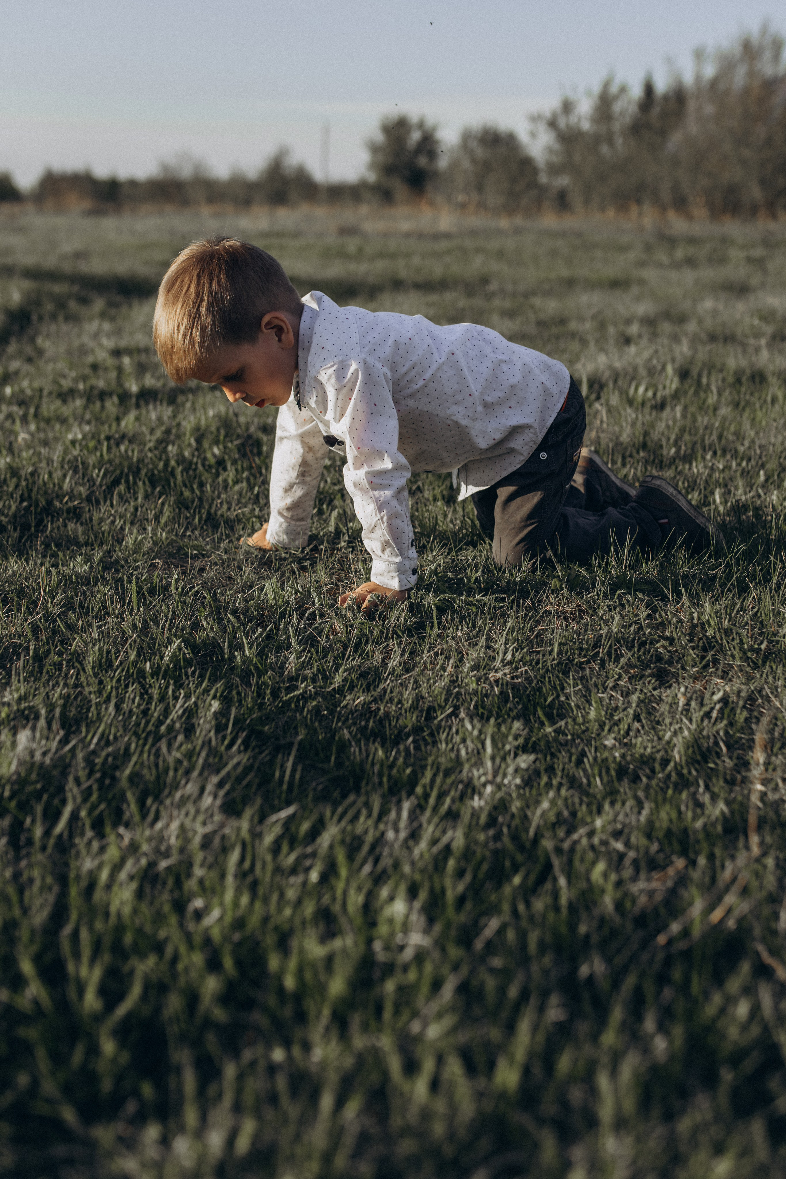 Саша, Миша, Вера и Вика летняя прогулочная съёмка. Семейный фотограф lifestyle в Новосибирске Елена Шпилевая