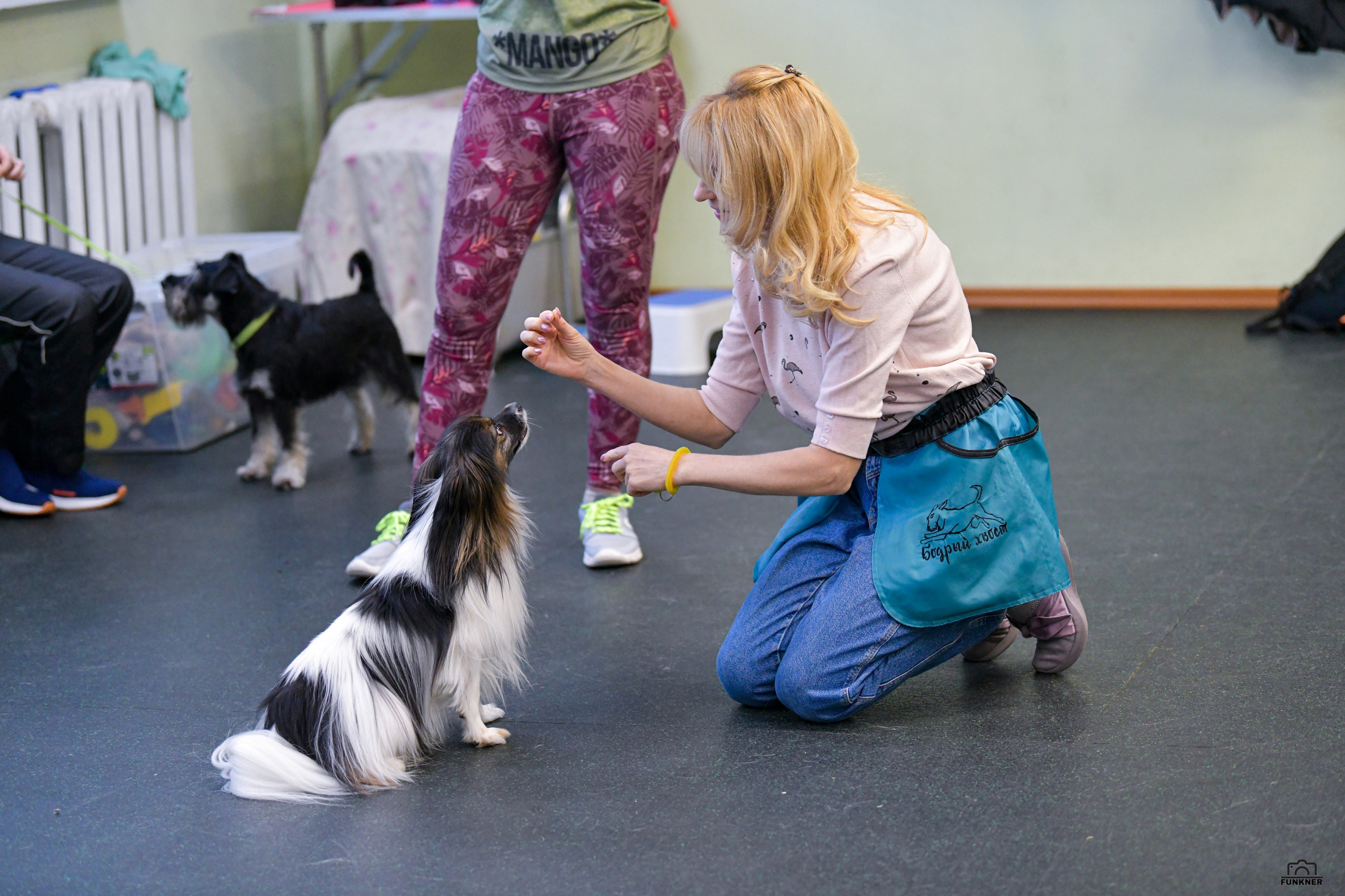 Кинологический клуб «Бодрый хвост». Свой взгляд через объектив