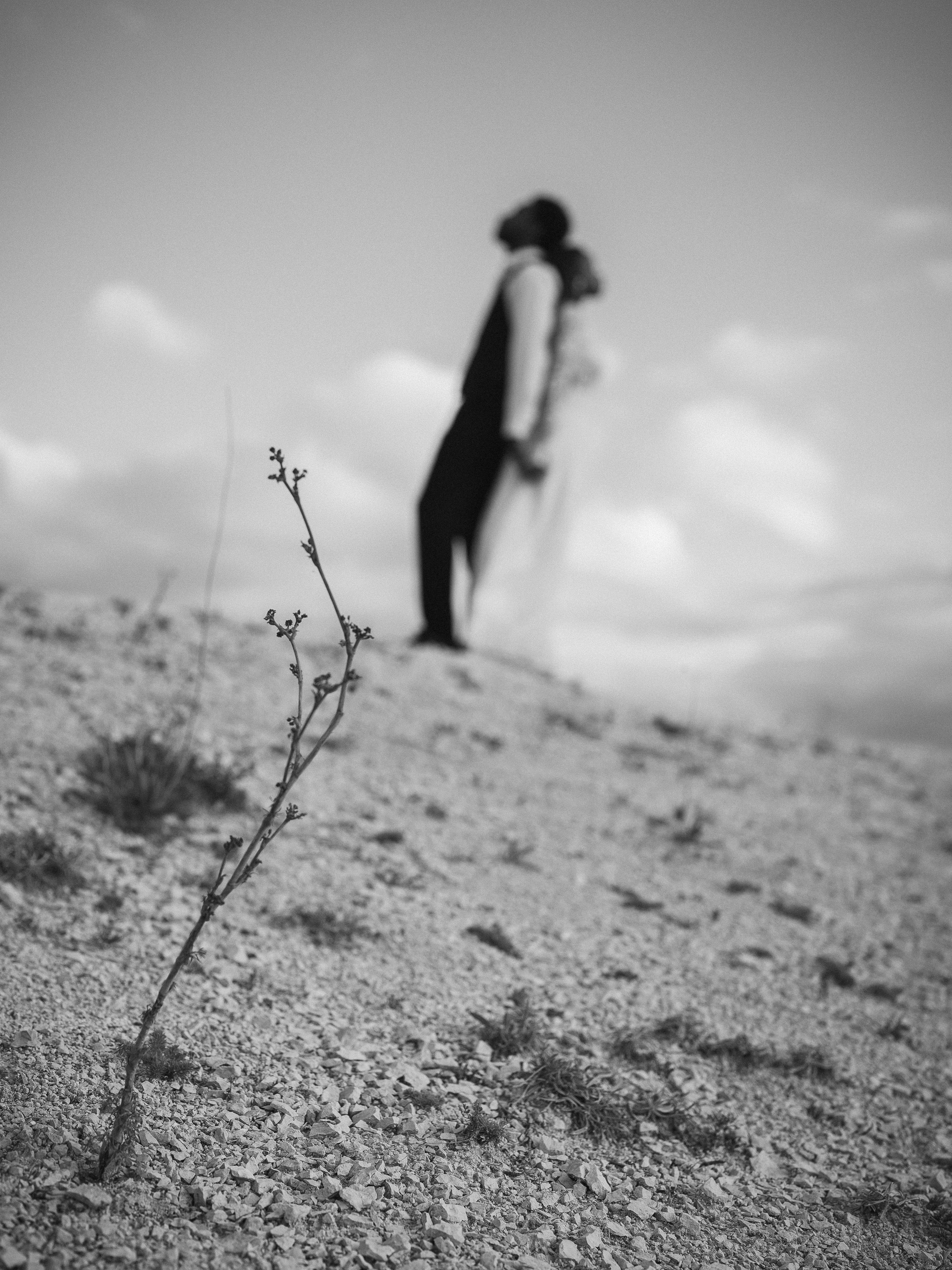 Прогулка на Белой скале. Фотограф Олег Сотник