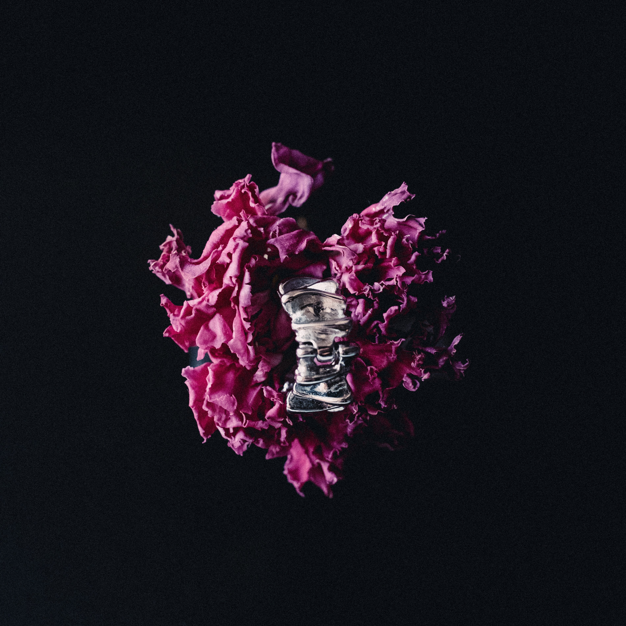 Дневник. Фотограф из Хакасии Элина Кичеева