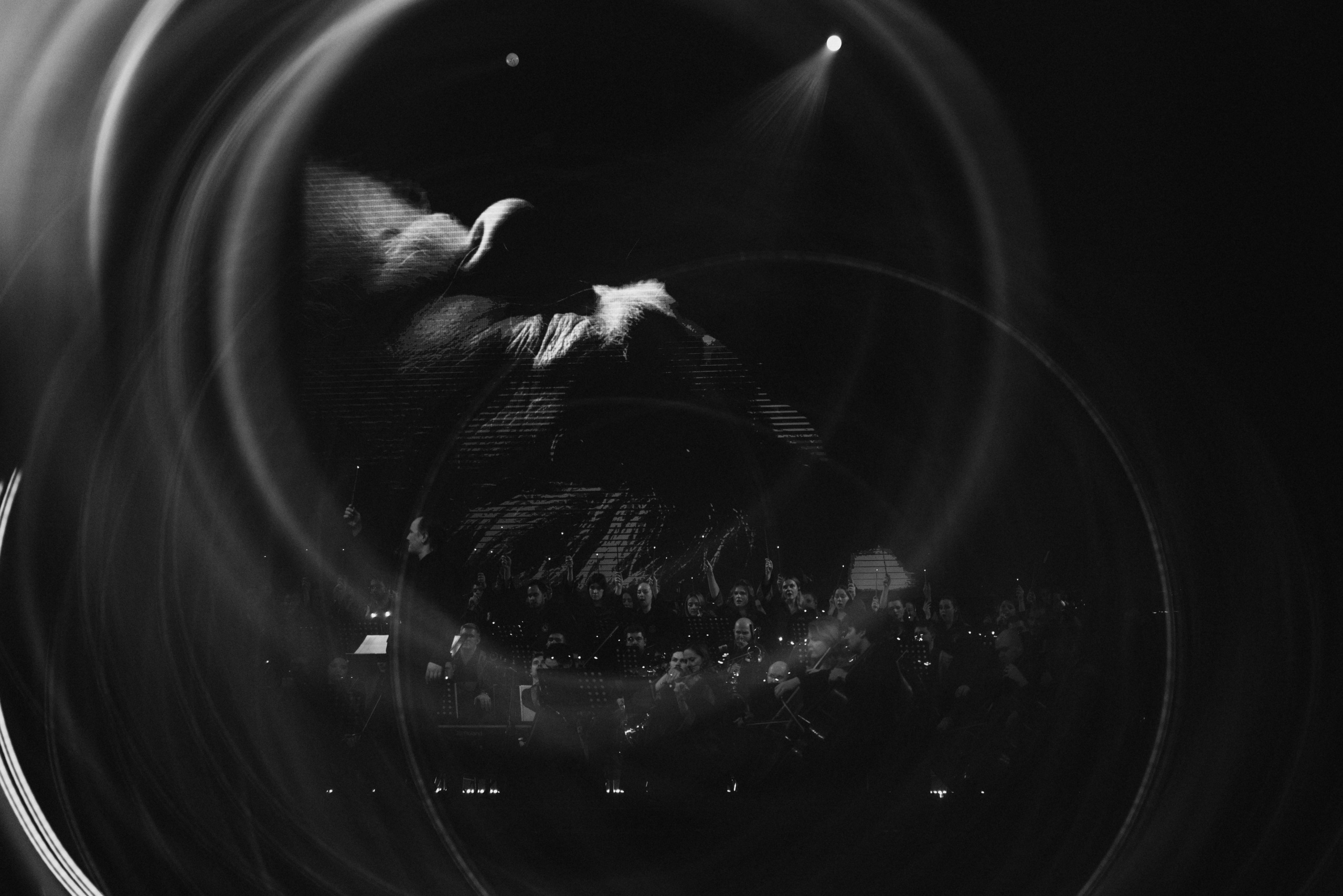 Новый год в Хогвартсе. Свадебный и семейный фотограф в Москве и Московской области Оксана Шлыкова