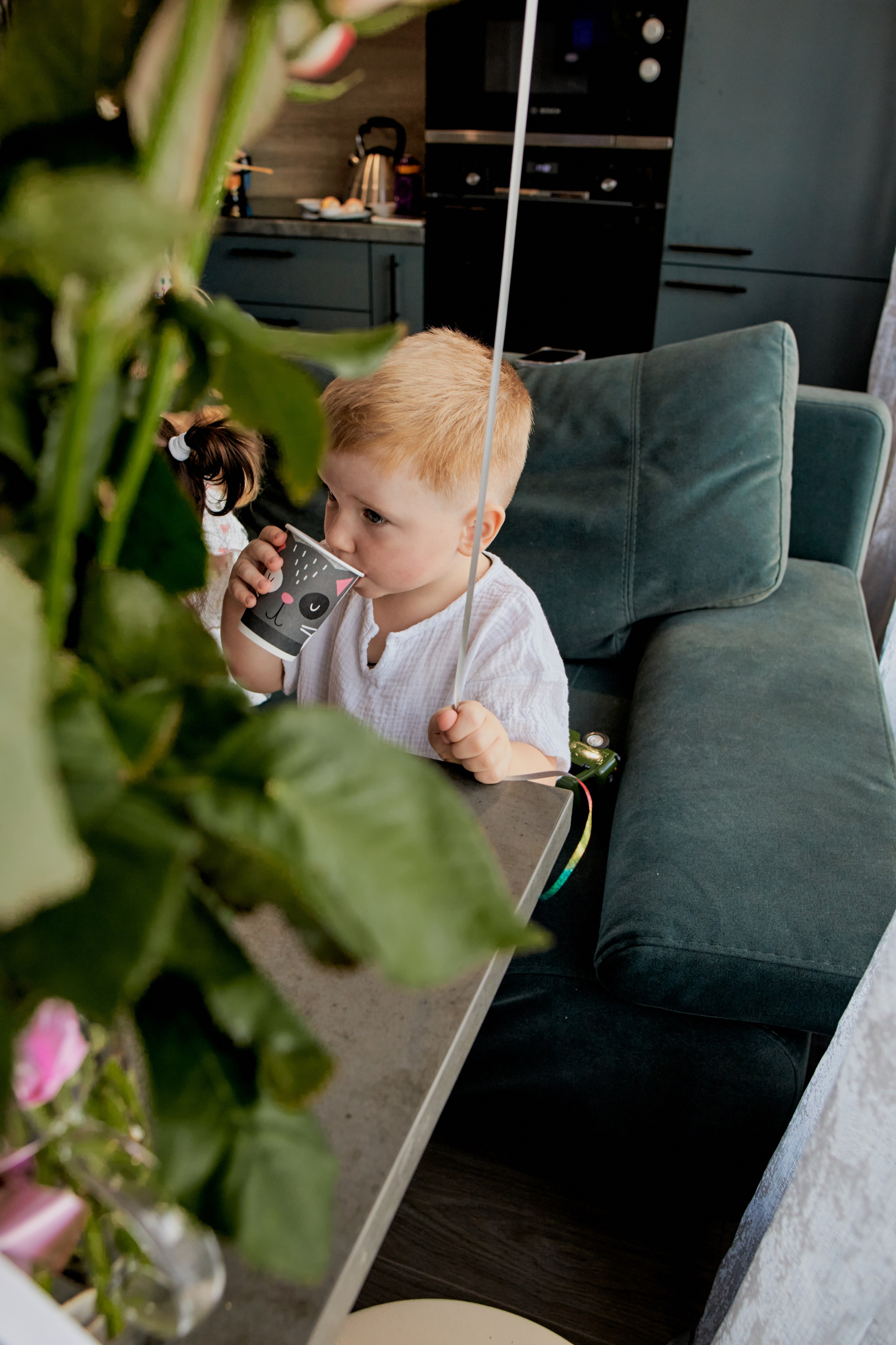 Три кота. Фотограф Москва