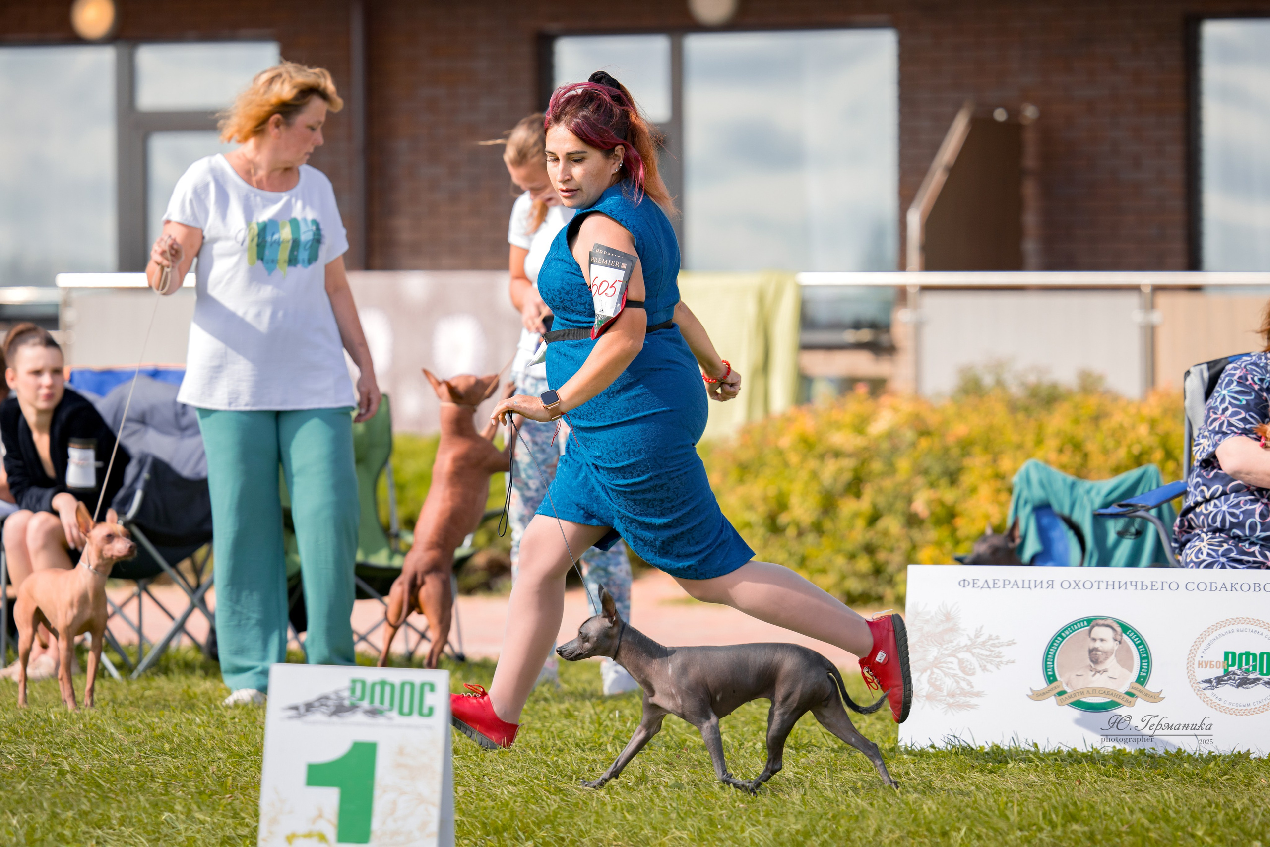 Переславль 5-7.08.2025. Фотограф-анималист Юлия Германика