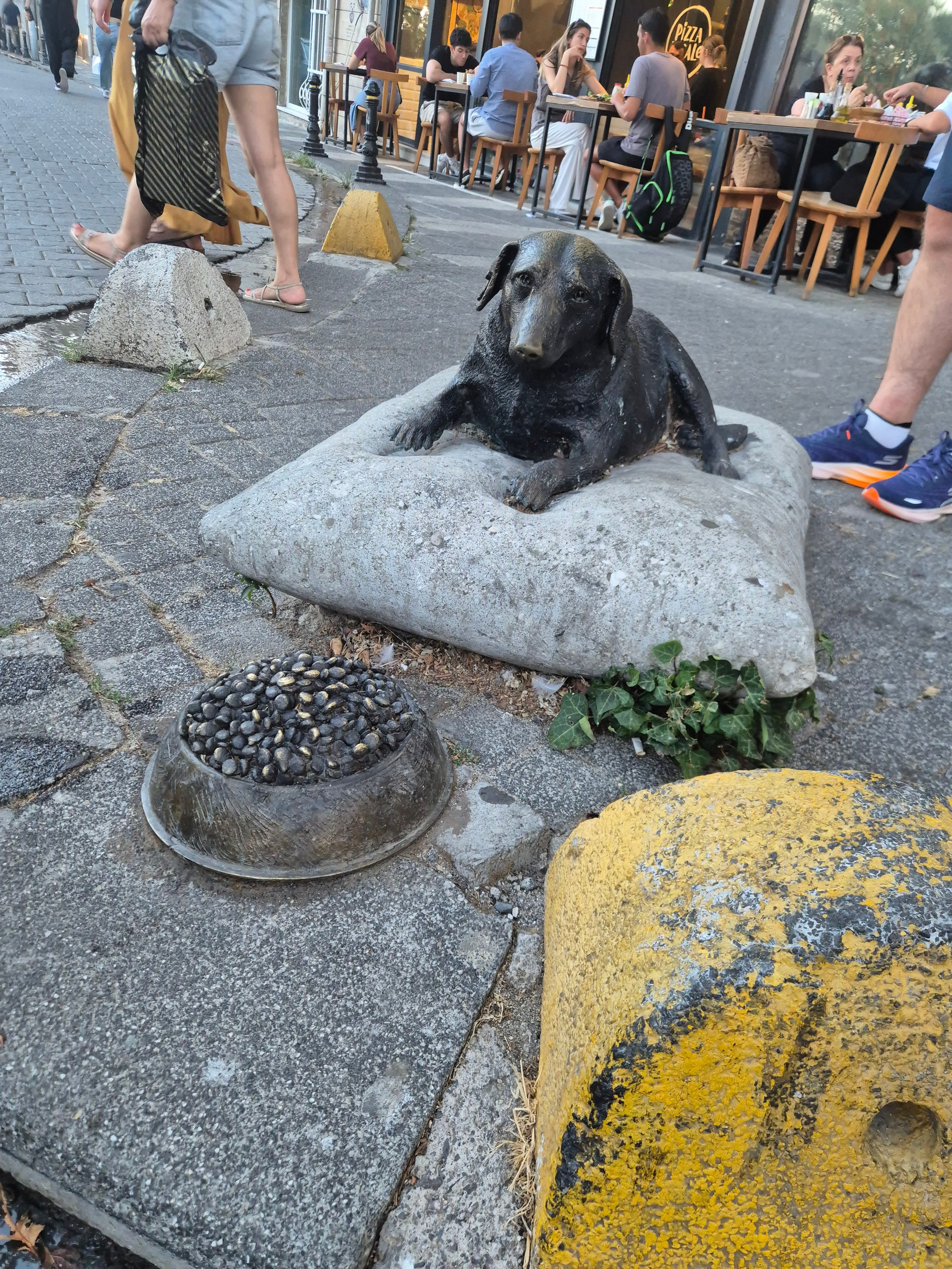В городе гораздо больше кошек, но и собак здесь любят и уважают