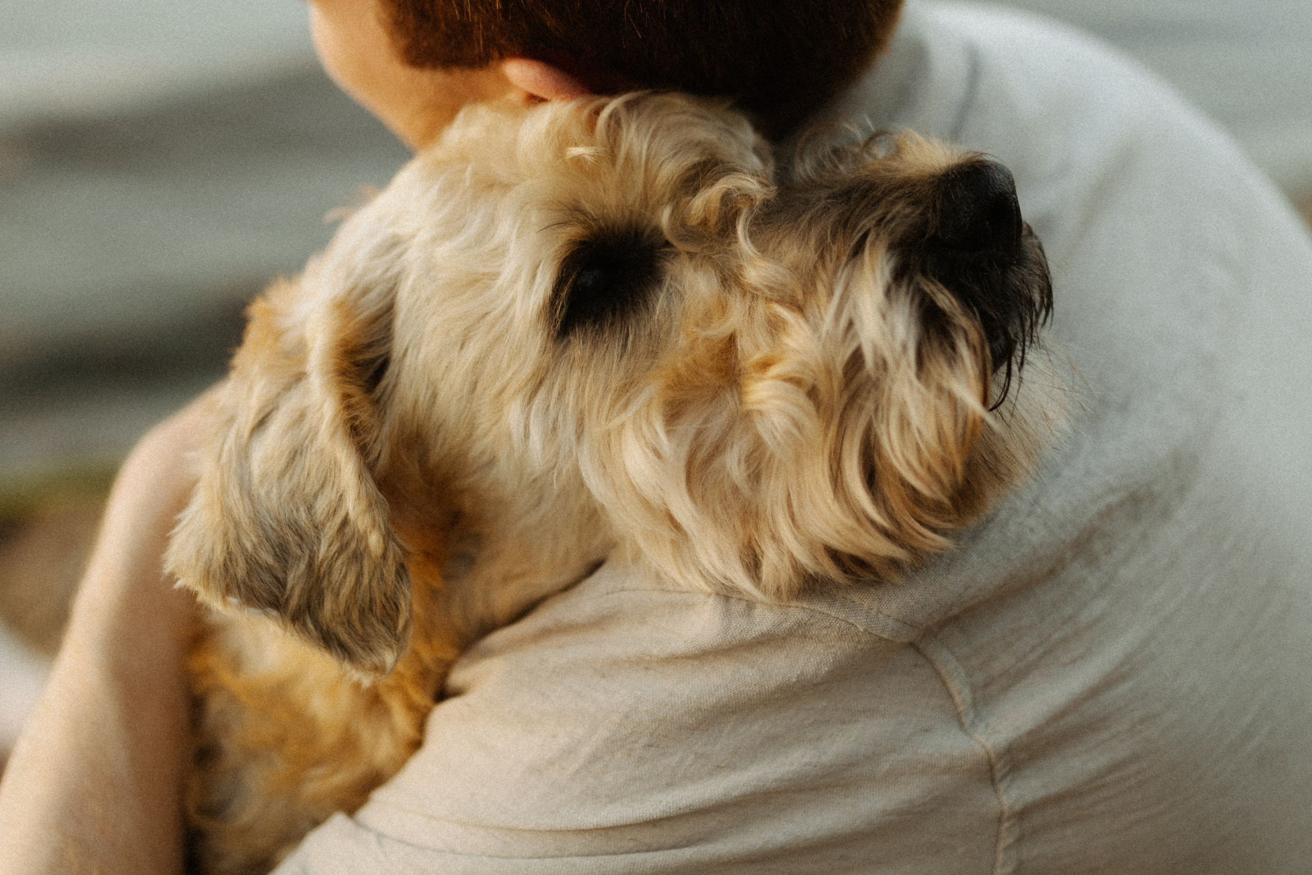 Аня, Влад и Джек. Фотограф в Санкт-Петербурге