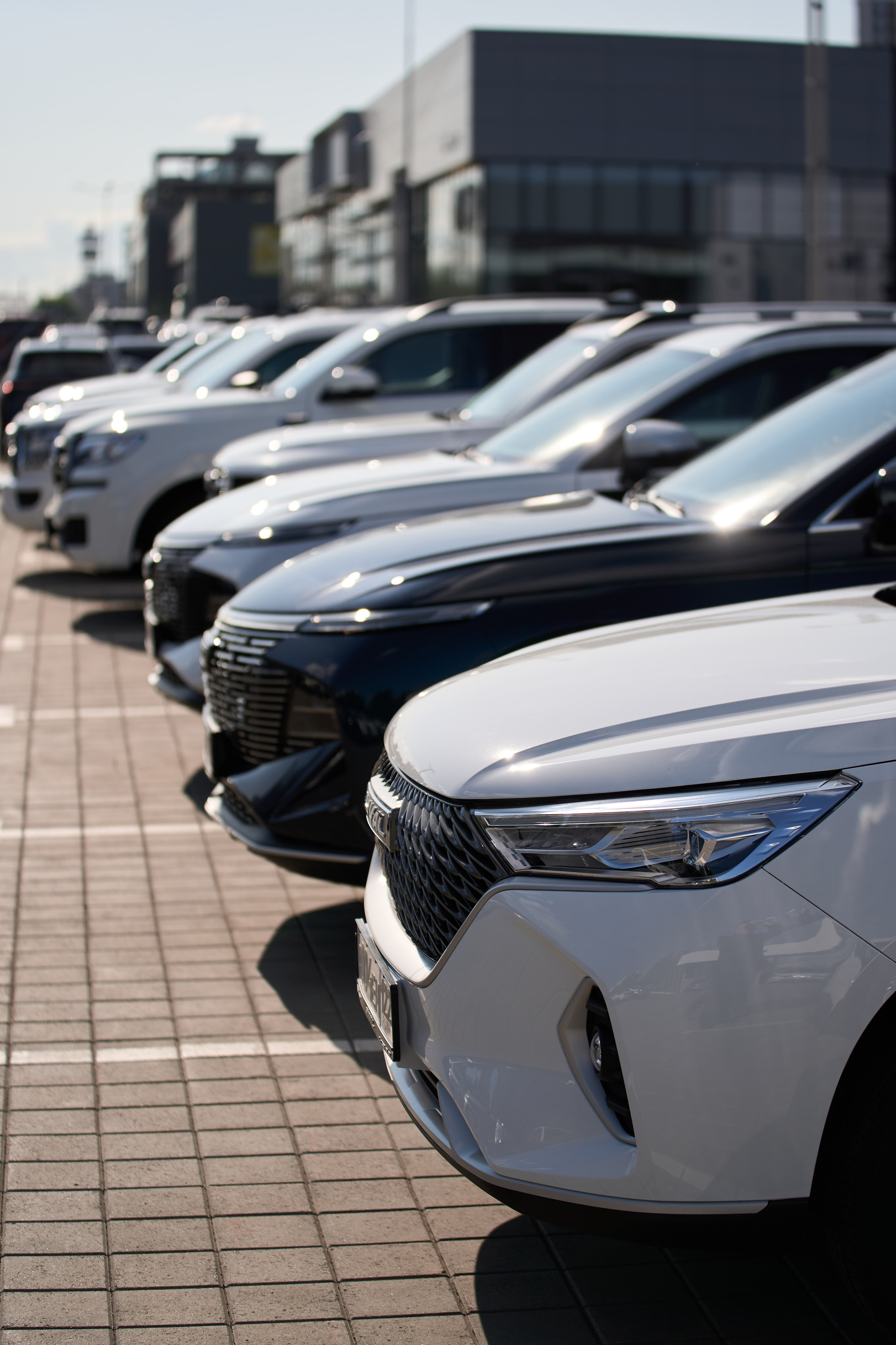 Презентация HAVAL. Фото, которые продают эмоции. Сергей Богомолов. Свадебный и семейный фотограф